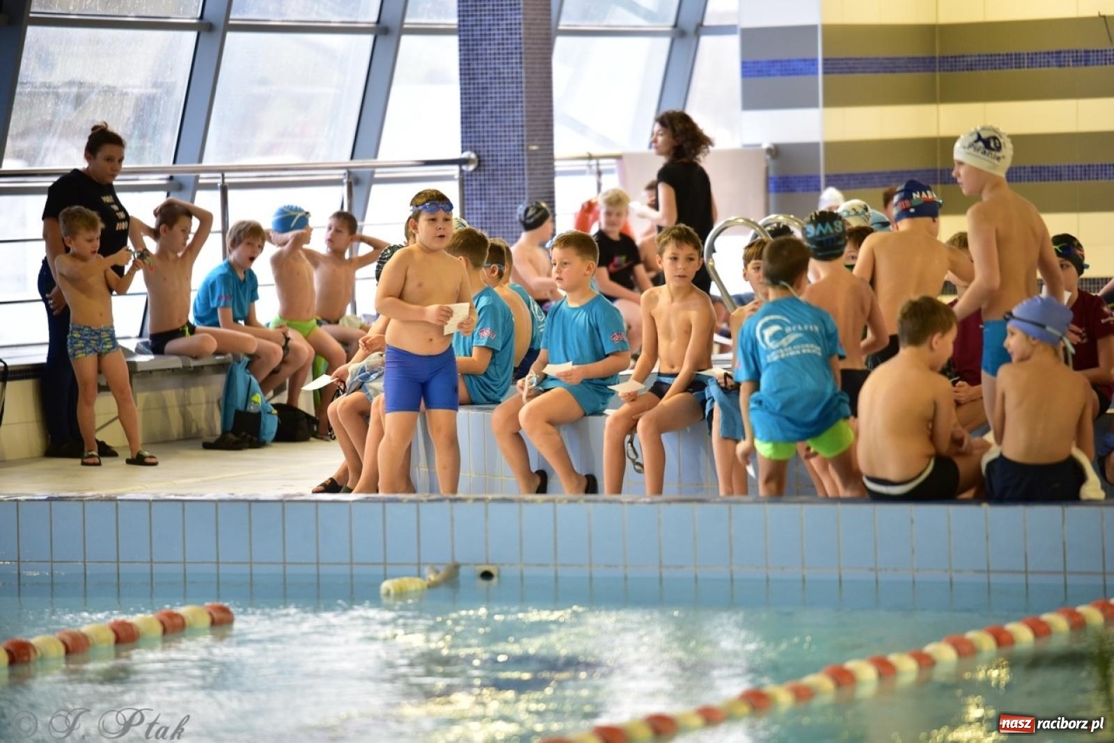 Zdjęcie w galerii na portalu naszraciborz.pl: IV Mistrzostwa Raciborza Szkół Podstawowych w pływaniu – sportowa rywalizacja na H2Ostróg zakończona wiadomości z regionu