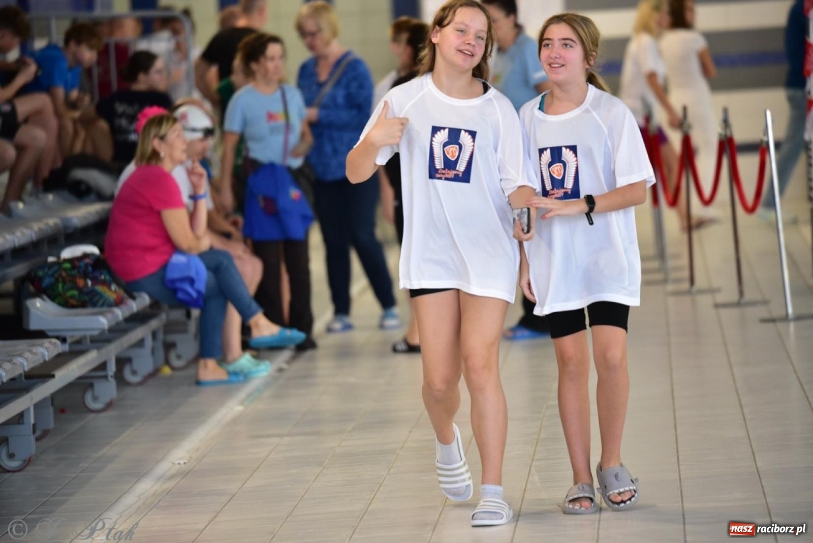 Zdjęcie w galerii na portalu naszraciborz.pl: IV Mistrzostwa Raciborza Szkół Podstawowych w pływaniu – sportowa rywalizacja na H2Ostróg zakończona wiadomości z regionu