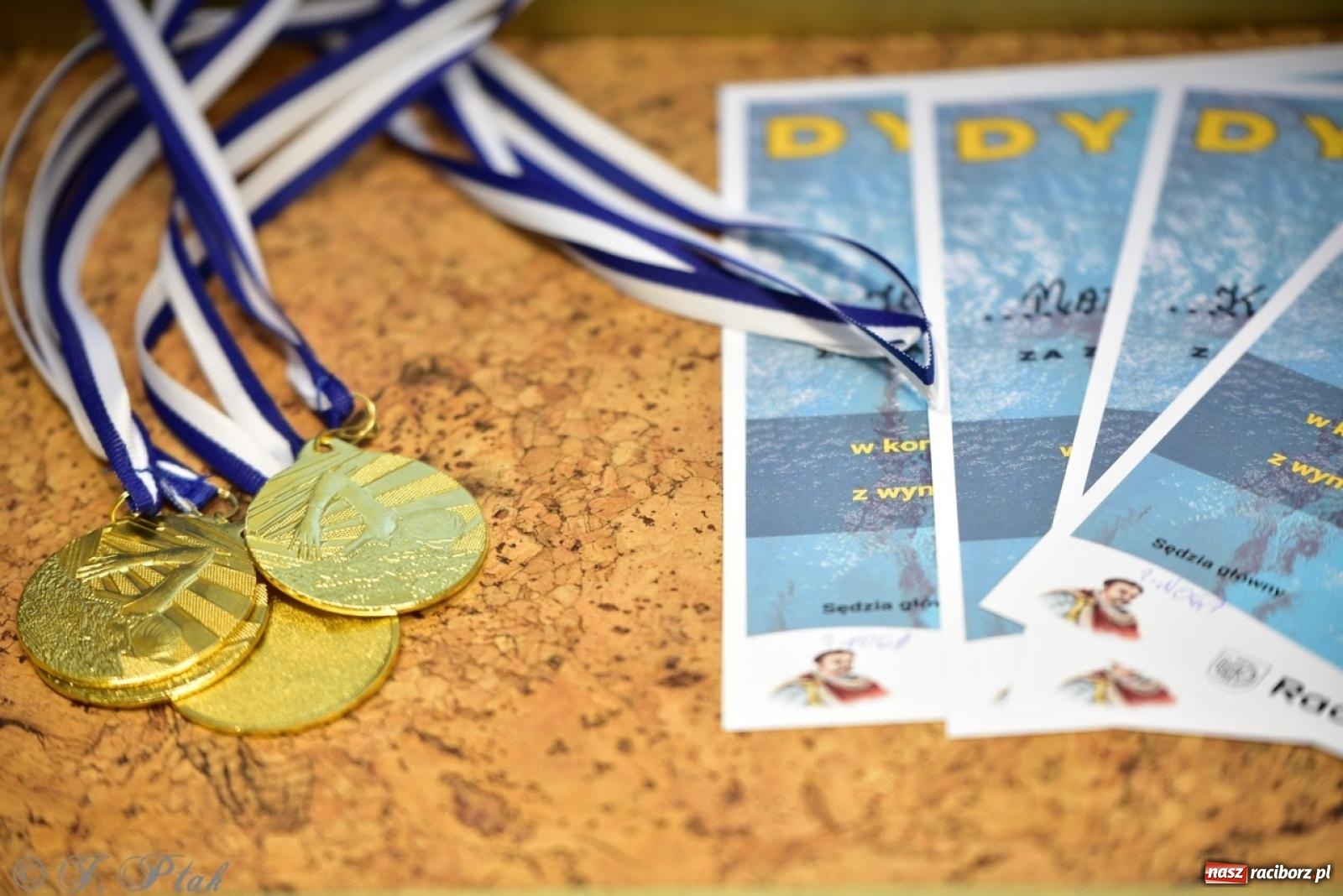 Zdjęcie w galerii na portalu naszraciborz.pl: IV Mistrzostwa Raciborza Szkół Podstawowych w pływaniu – sportowa rywalizacja na H2Ostróg zakończona wiadomości z regionu