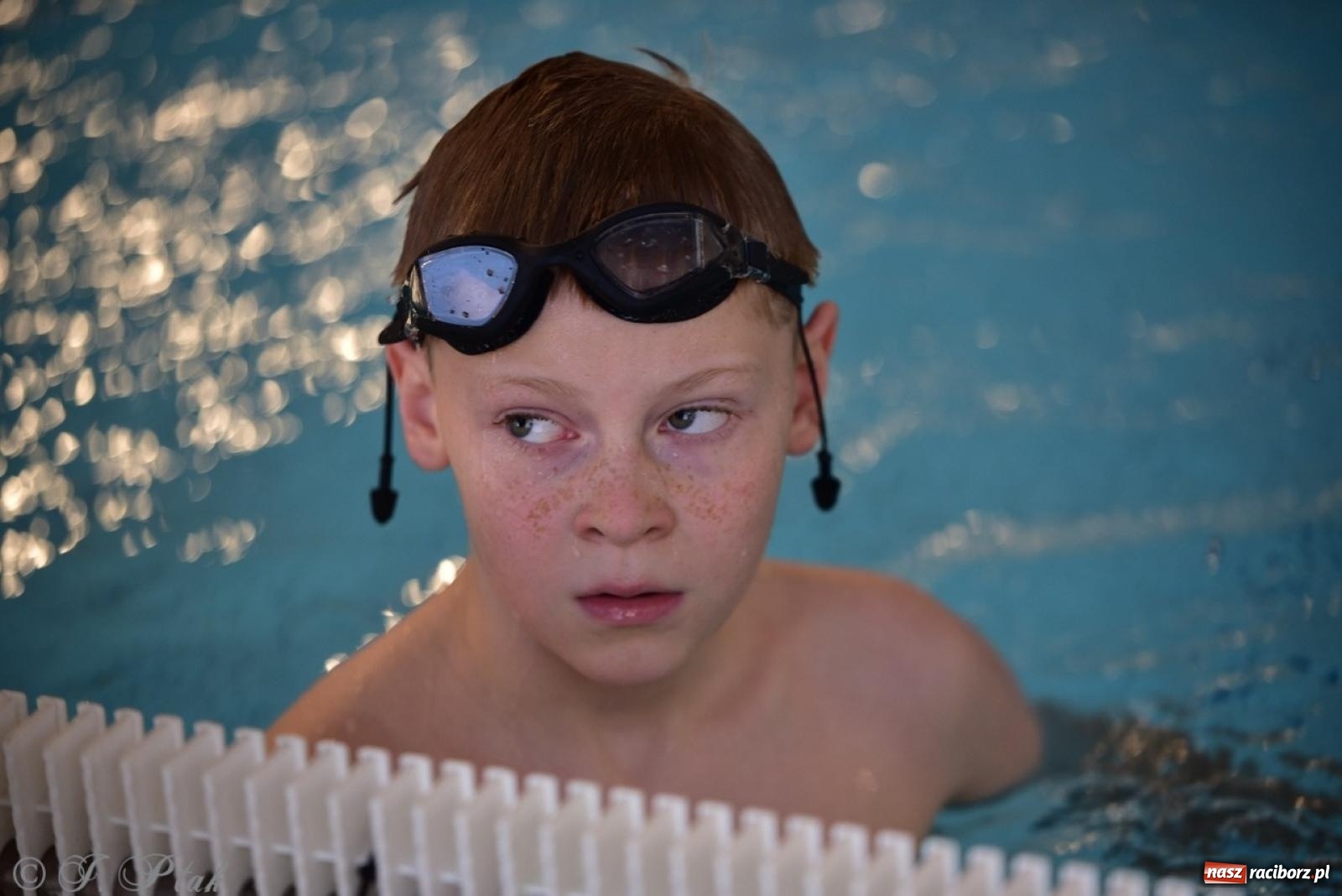 Zdjęcie w galerii na portalu naszraciborz.pl: IV Mistrzostwa Raciborza Szkół Podstawowych w pływaniu – sportowa rywalizacja na H2Ostróg zakończona wiadomości z regionu