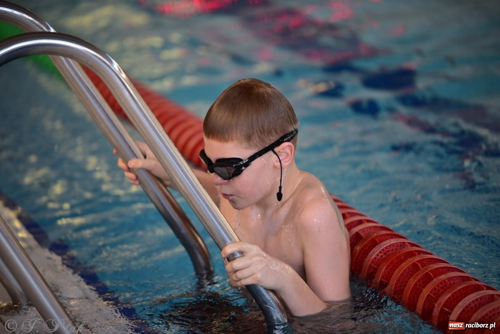 Zdjęcie w galerii na portalu naszraciborz.pl: IV Mistrzostwa Raciborza Szkół Podstawowych w pływaniu – sportowa rywalizacja na H2Ostróg zakończona wiadomości z regionu