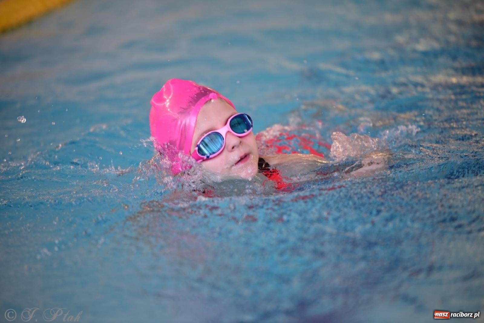Zdjęcie w galerii na portalu naszraciborz.pl: IV Mistrzostwa Raciborza Szkół Podstawowych w pływaniu – sportowa rywalizacja na H2Ostróg zakończona wiadomości z regionu