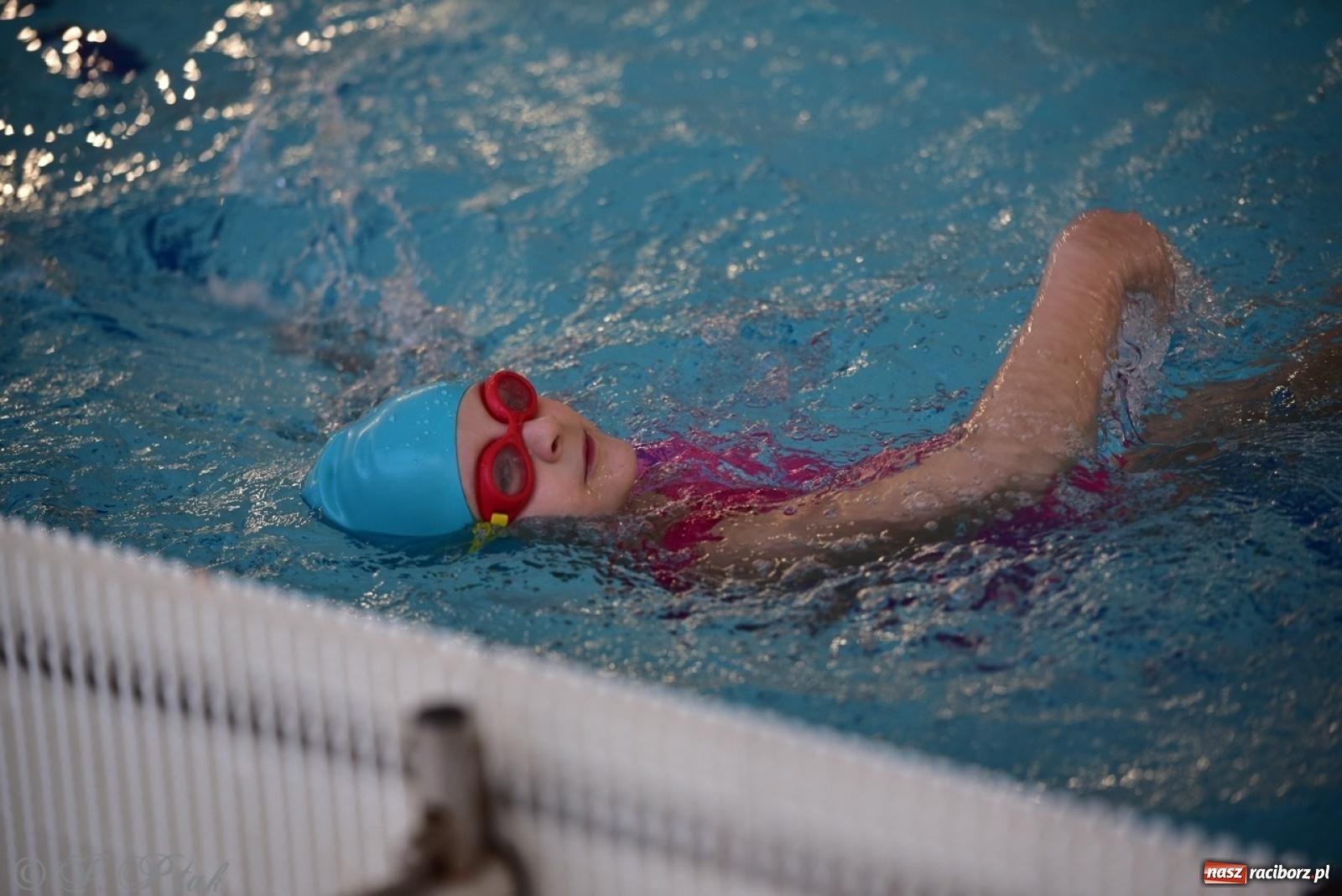 Zdjęcie w galerii na portalu naszraciborz.pl: IV Mistrzostwa Raciborza Szkół Podstawowych w pływaniu – sportowa rywalizacja na H2Ostróg zakończona wiadomości z regionu