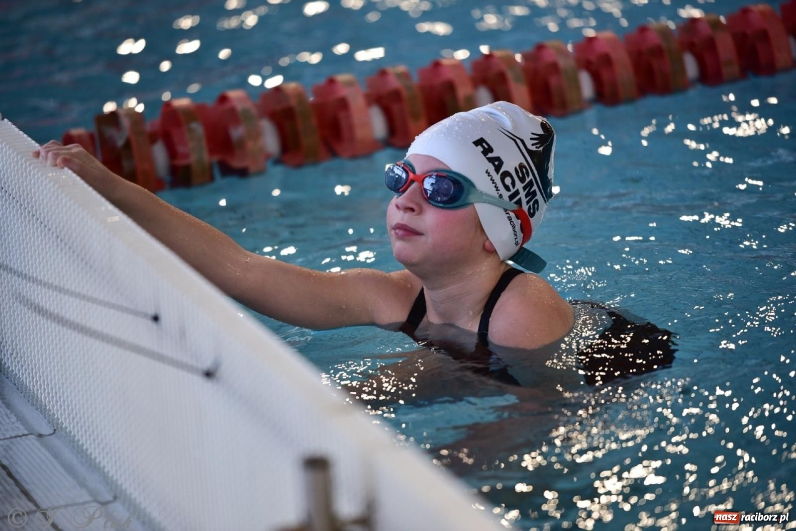 Zdjęcie w galerii na portalu naszraciborz.pl: IV Mistrzostwa Raciborza Szkół Podstawowych w pływaniu – sportowa rywalizacja na H2Ostróg zakończona wiadomości z regionu