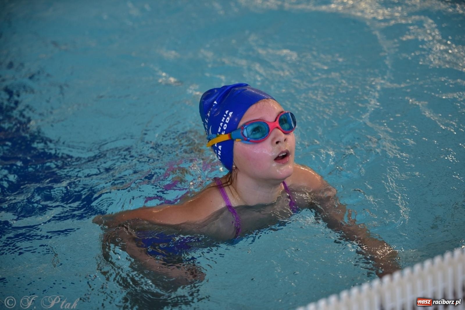 Zdjęcie w galerii na portalu naszraciborz.pl: IV Mistrzostwa Raciborza Szkół Podstawowych w pływaniu – sportowa rywalizacja na H2Ostróg zakończona wiadomości z regionu