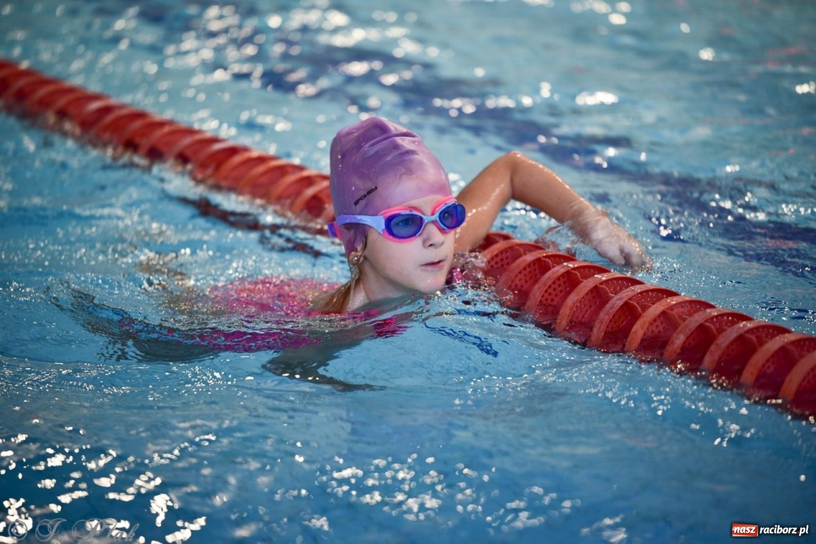Zdjęcie w galerii na portalu naszraciborz.pl: IV Mistrzostwa Raciborza Szkół Podstawowych w pływaniu – sportowa rywalizacja na H2Ostróg zakończona wiadomości z regionu