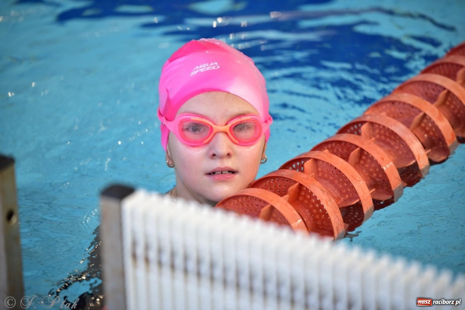 Zdjęcie w galerii na portalu naszraciborz.pl: IV Mistrzostwa Raciborza Szkół Podstawowych w pływaniu – sportowa rywalizacja na H2Ostróg zakończona wiadomości z regionu