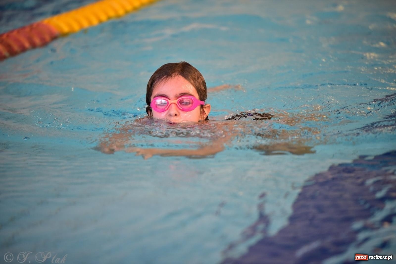Zdjęcie w galerii na portalu naszraciborz.pl: IV Mistrzostwa Raciborza Szkół Podstawowych w pływaniu – sportowa rywalizacja na H2Ostróg zakończona wiadomości z regionu