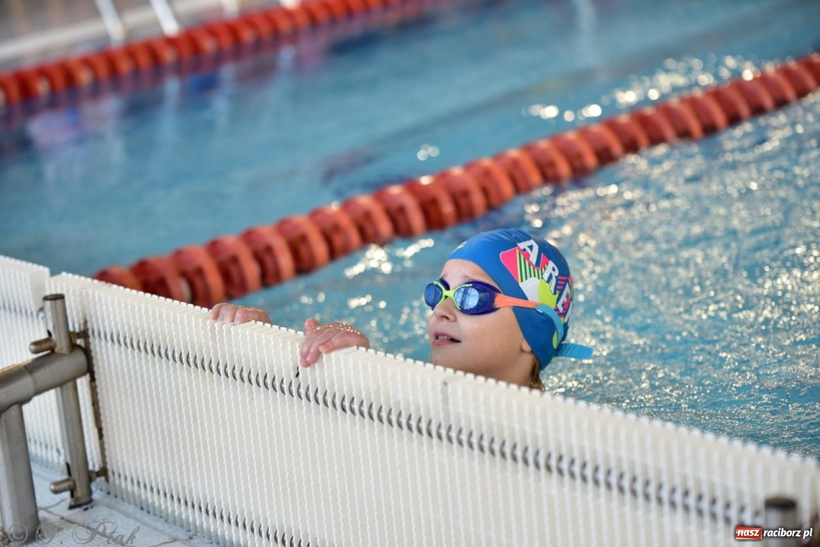 Zdjęcie w galerii na portalu naszraciborz.pl: IV Mistrzostwa Raciborza Szkół Podstawowych w pływaniu – sportowa rywalizacja na H2Ostróg zakończona wiadomości z regionu