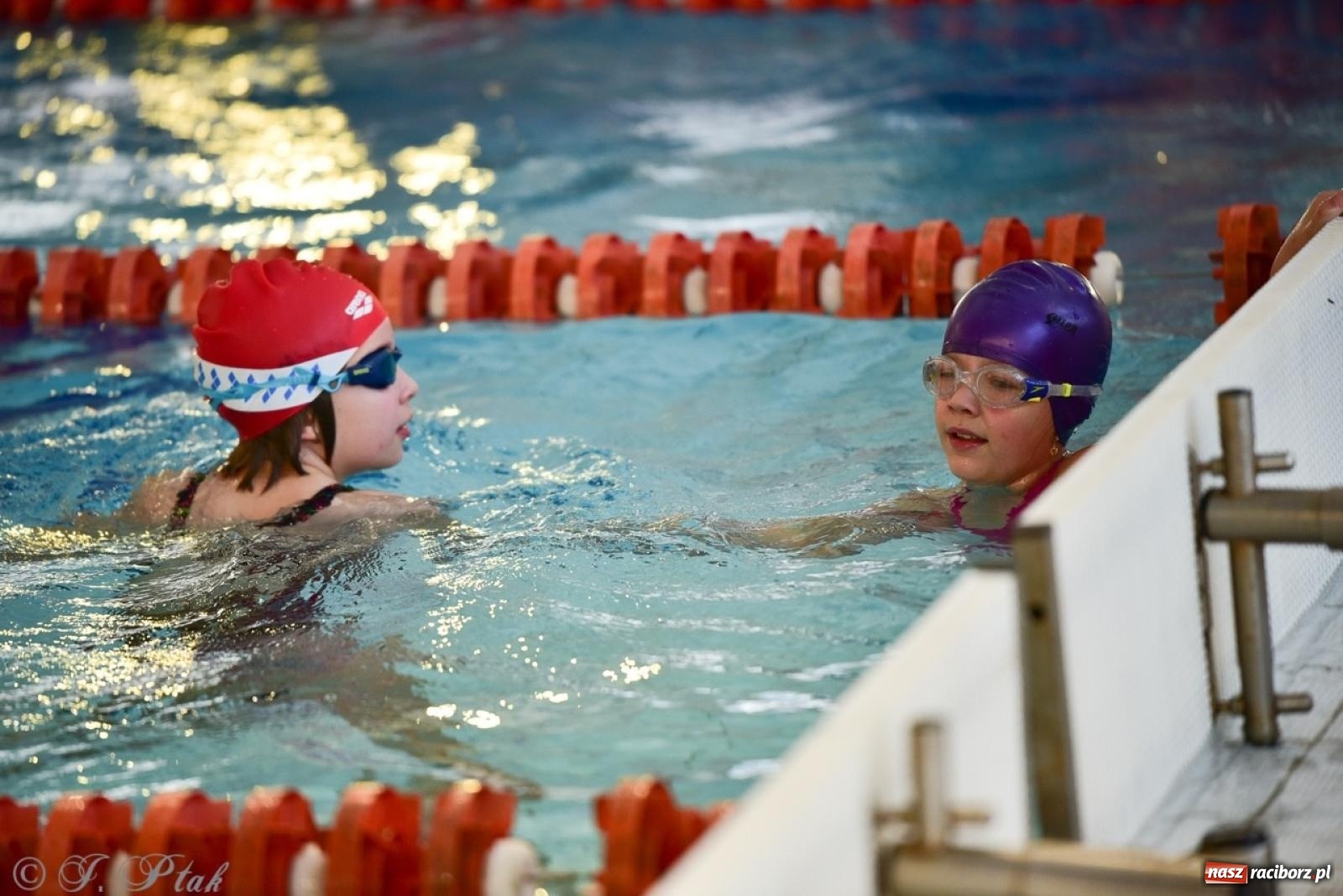 Zdjęcie w galerii na portalu naszraciborz.pl: IV Mistrzostwa Raciborza Szkół Podstawowych w pływaniu – sportowa rywalizacja na H2Ostróg zakończona wiadomości z regionu
