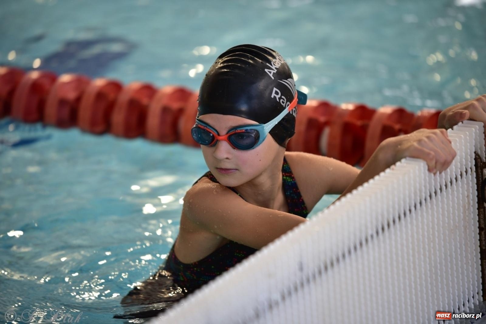 Zdjęcie w galerii na portalu naszraciborz.pl: IV Mistrzostwa Raciborza Szkół Podstawowych w pływaniu – sportowa rywalizacja na H2Ostróg zakończona wiadomości z regionu
