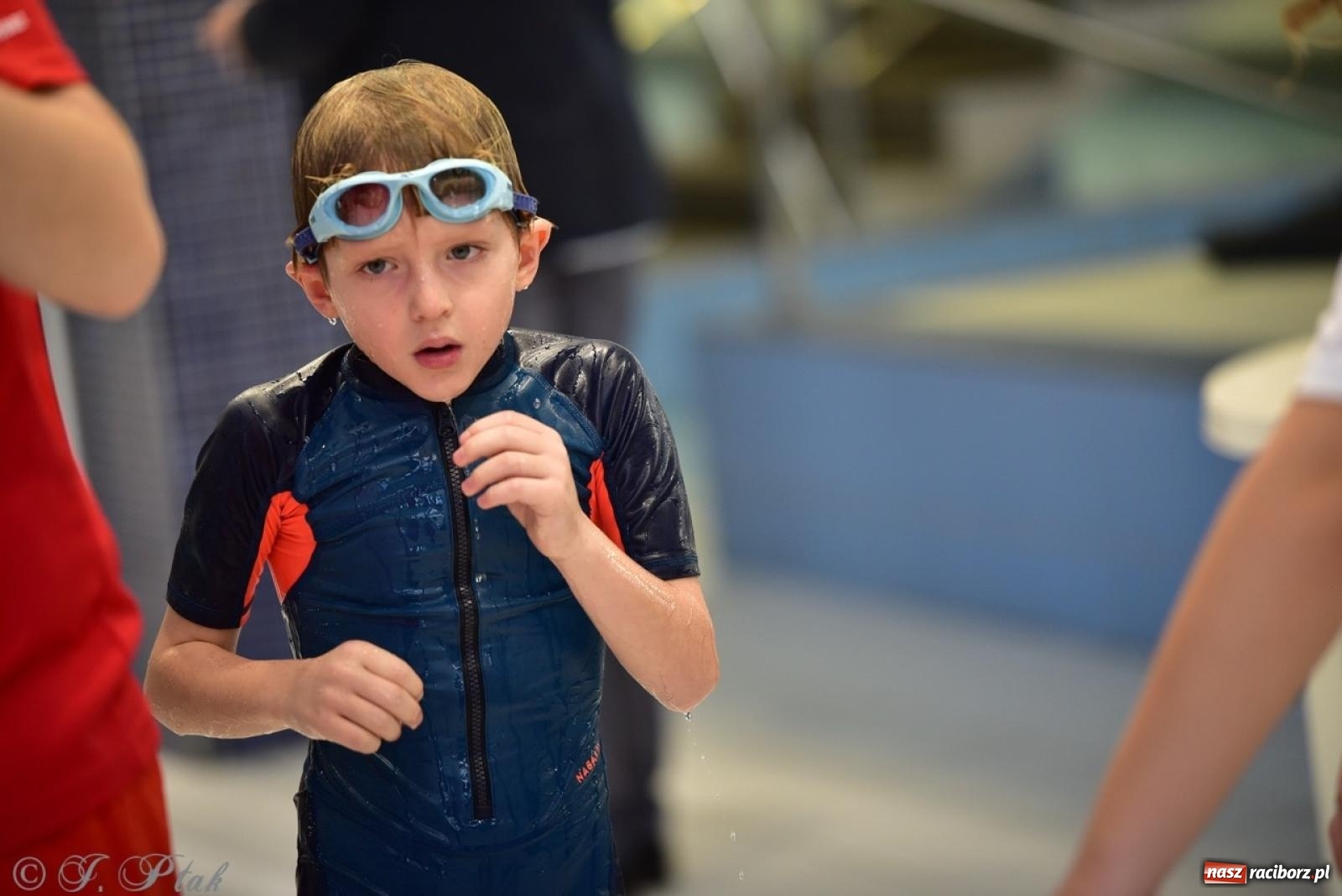 Zdjęcie w galerii na portalu naszraciborz.pl: IV Mistrzostwa Raciborza Szkół Podstawowych w pływaniu – sportowa rywalizacja na H2Ostróg zakończona wiadomości z regionu