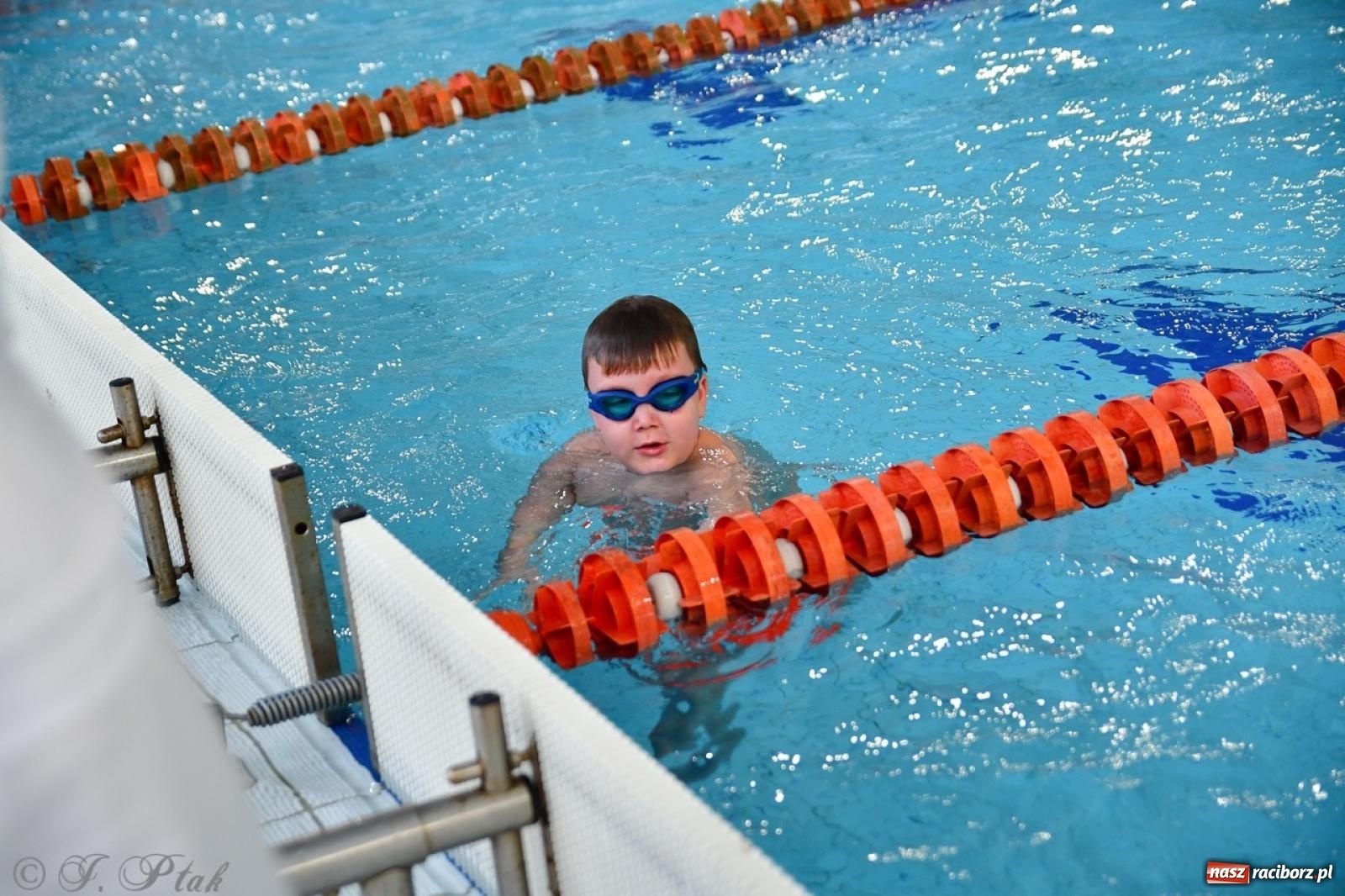 Zdjęcie w galerii na portalu naszraciborz.pl: IV Mistrzostwa Raciborza Szkół Podstawowych w pływaniu – sportowa rywalizacja na H2Ostróg zakończona wiadomości z regionu