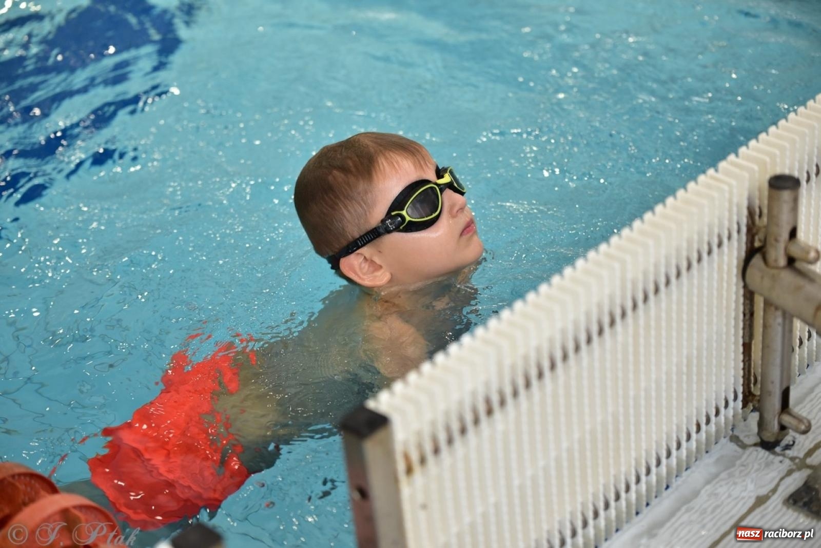 Zdjęcie w galerii na portalu naszraciborz.pl: IV Mistrzostwa Raciborza Szkół Podstawowych w pływaniu – sportowa rywalizacja na H2Ostróg zakończona wiadomości z regionu