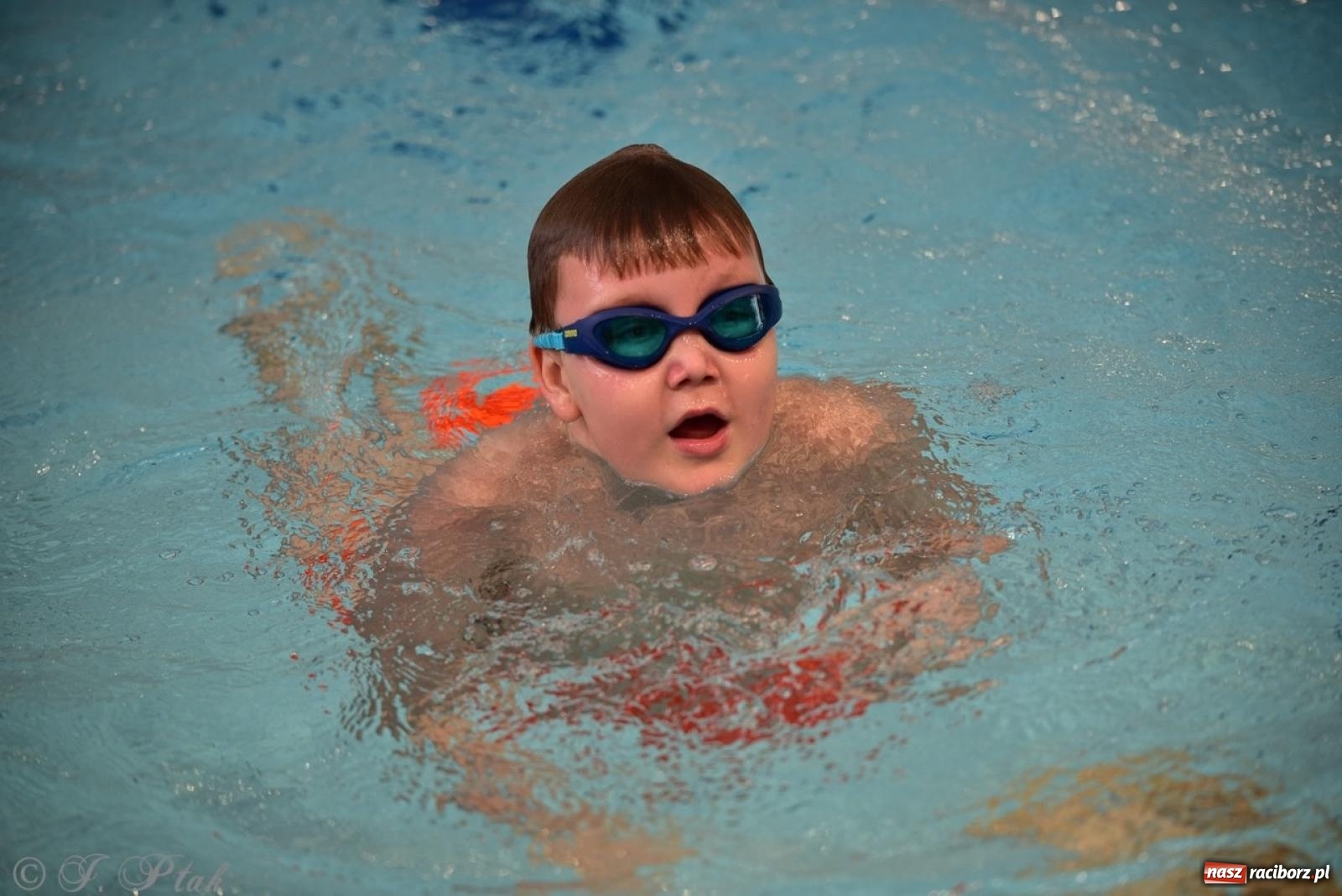 Zdjęcie w galerii na portalu naszraciborz.pl: IV Mistrzostwa Raciborza Szkół Podstawowych w pływaniu – sportowa rywalizacja na H2Ostróg zakończona wiadomości z regionu