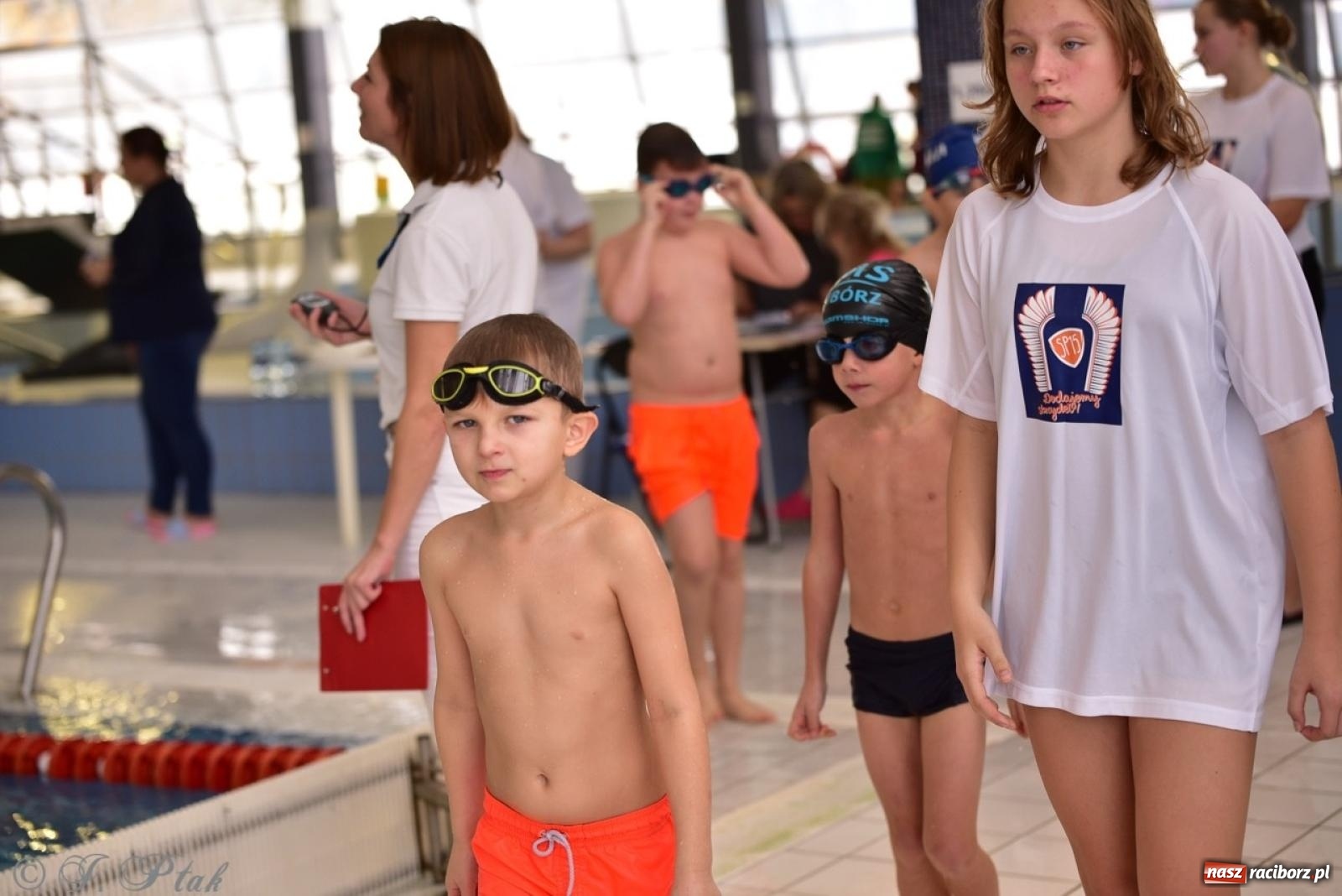 Zdjęcie w galerii na portalu naszraciborz.pl: IV Mistrzostwa Raciborza Szkół Podstawowych w pływaniu – sportowa rywalizacja na H2Ostróg zakończona wiadomości z regionu