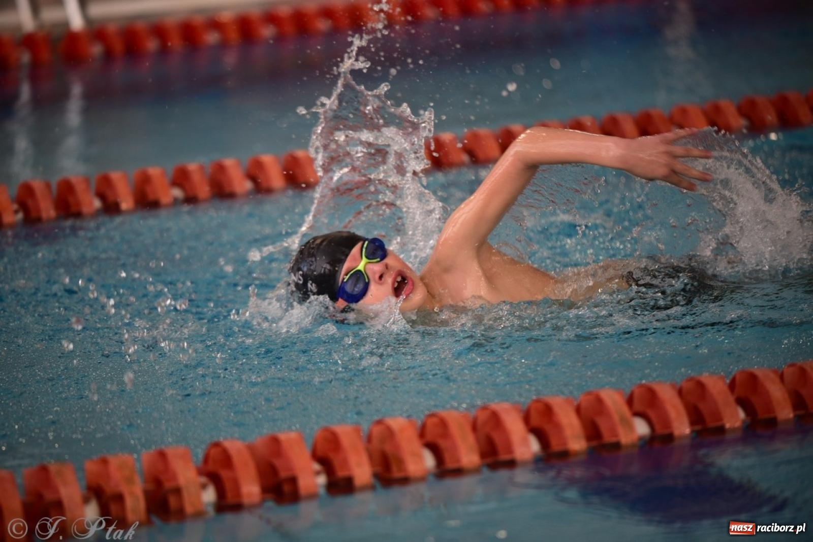 Zdjęcie w galerii na portalu naszraciborz.pl: IV Mistrzostwa Raciborza Szkół Podstawowych w pływaniu – sportowa rywalizacja na H2Ostróg zakończona wiadomości z regionu