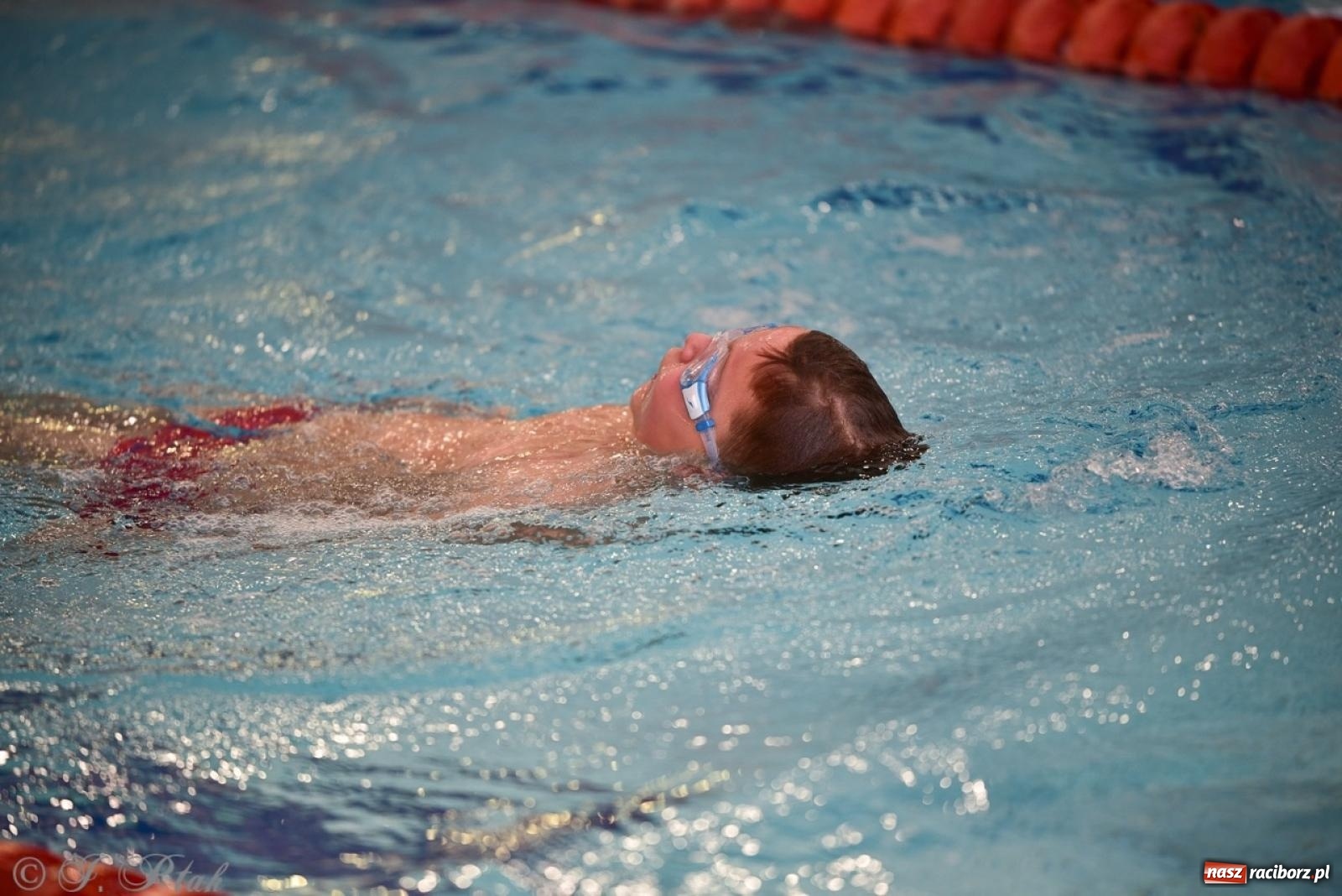 Zdjęcie w galerii na portalu naszraciborz.pl: IV Mistrzostwa Raciborza Szkół Podstawowych w pływaniu – sportowa rywalizacja na H2Ostróg zakończona wiadomości z regionu