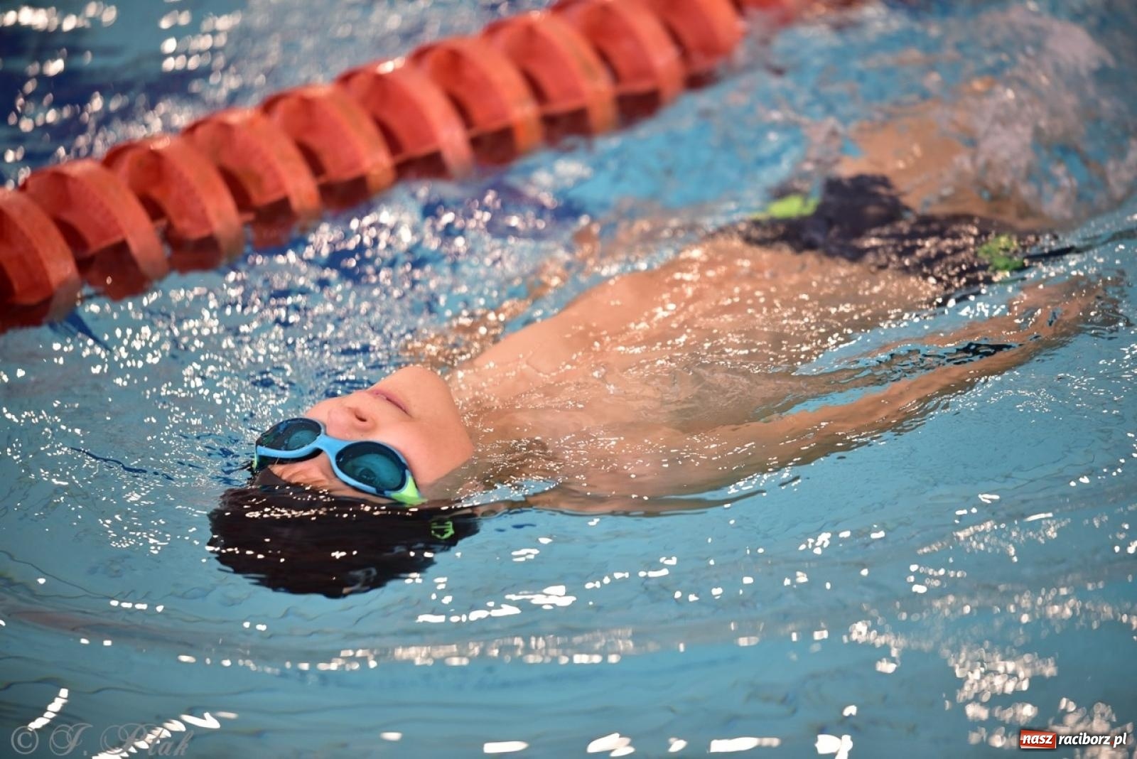 Zdjęcie w galerii na portalu naszraciborz.pl: IV Mistrzostwa Raciborza Szkół Podstawowych w pływaniu – sportowa rywalizacja na H2Ostróg zakończona wiadomości z regionu
