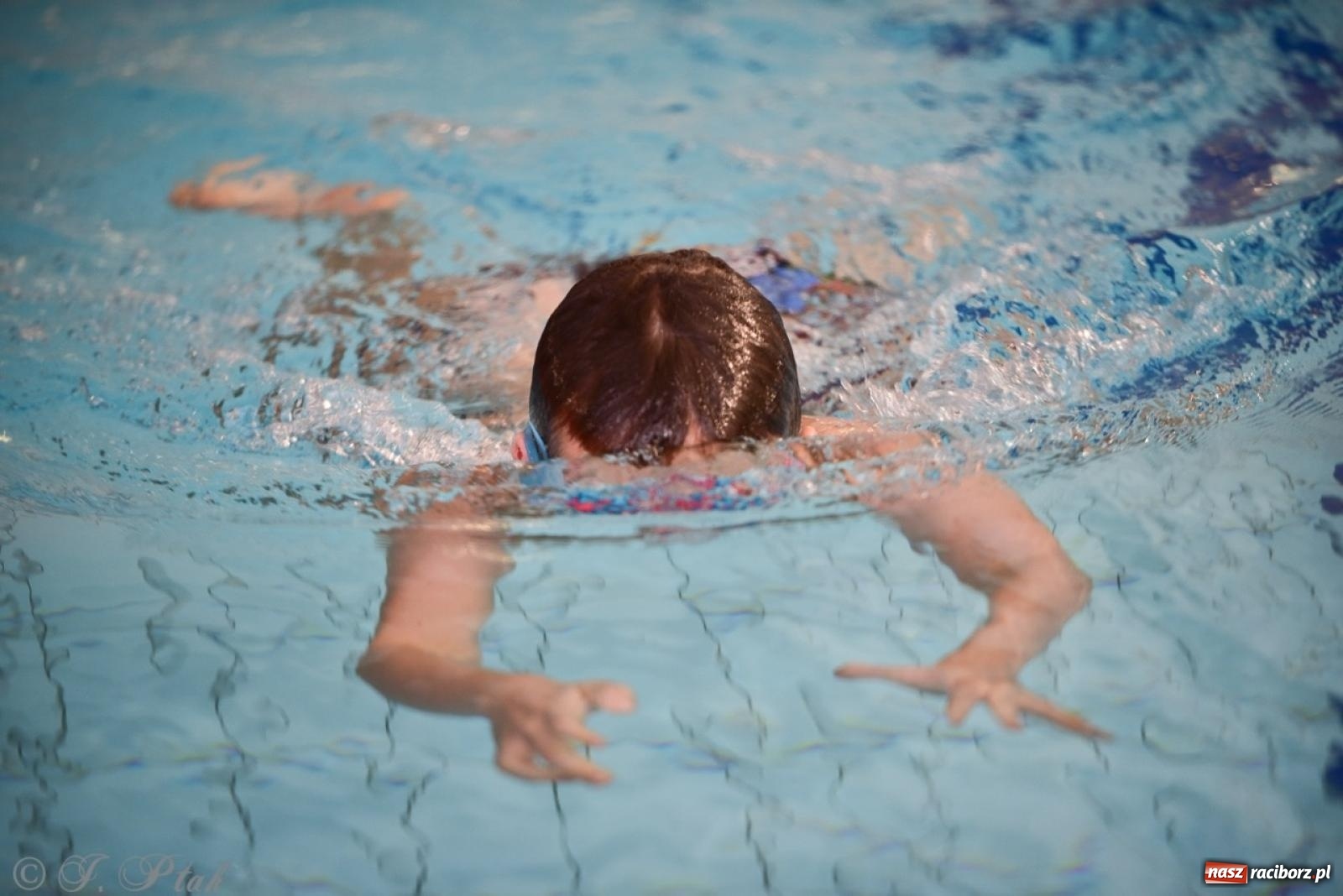 Zdjęcie w galerii na portalu naszraciborz.pl: IV Mistrzostwa Raciborza Szkół Podstawowych w pływaniu – sportowa rywalizacja na H2Ostróg zakończona wiadomości z regionu