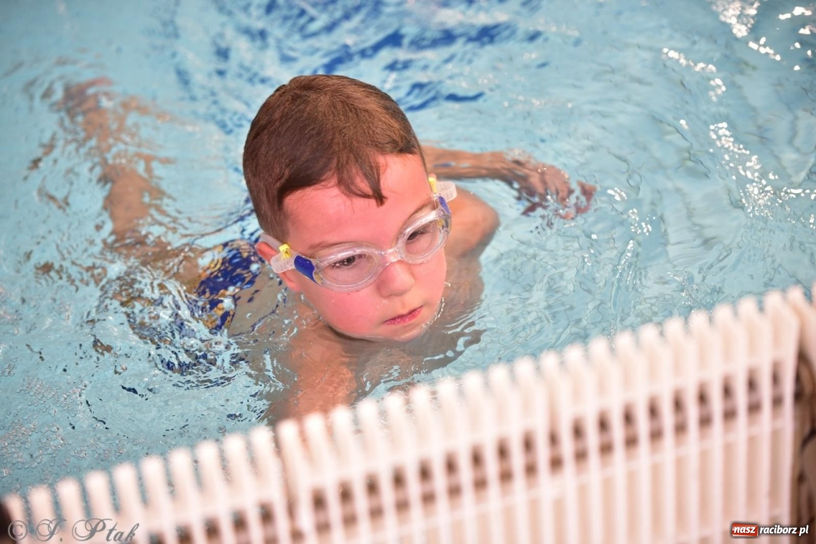 Zdjęcie w galerii na portalu naszraciborz.pl: IV Mistrzostwa Raciborza Szkół Podstawowych w pływaniu – sportowa rywalizacja na H2Ostróg zakończona wiadomości z regionu