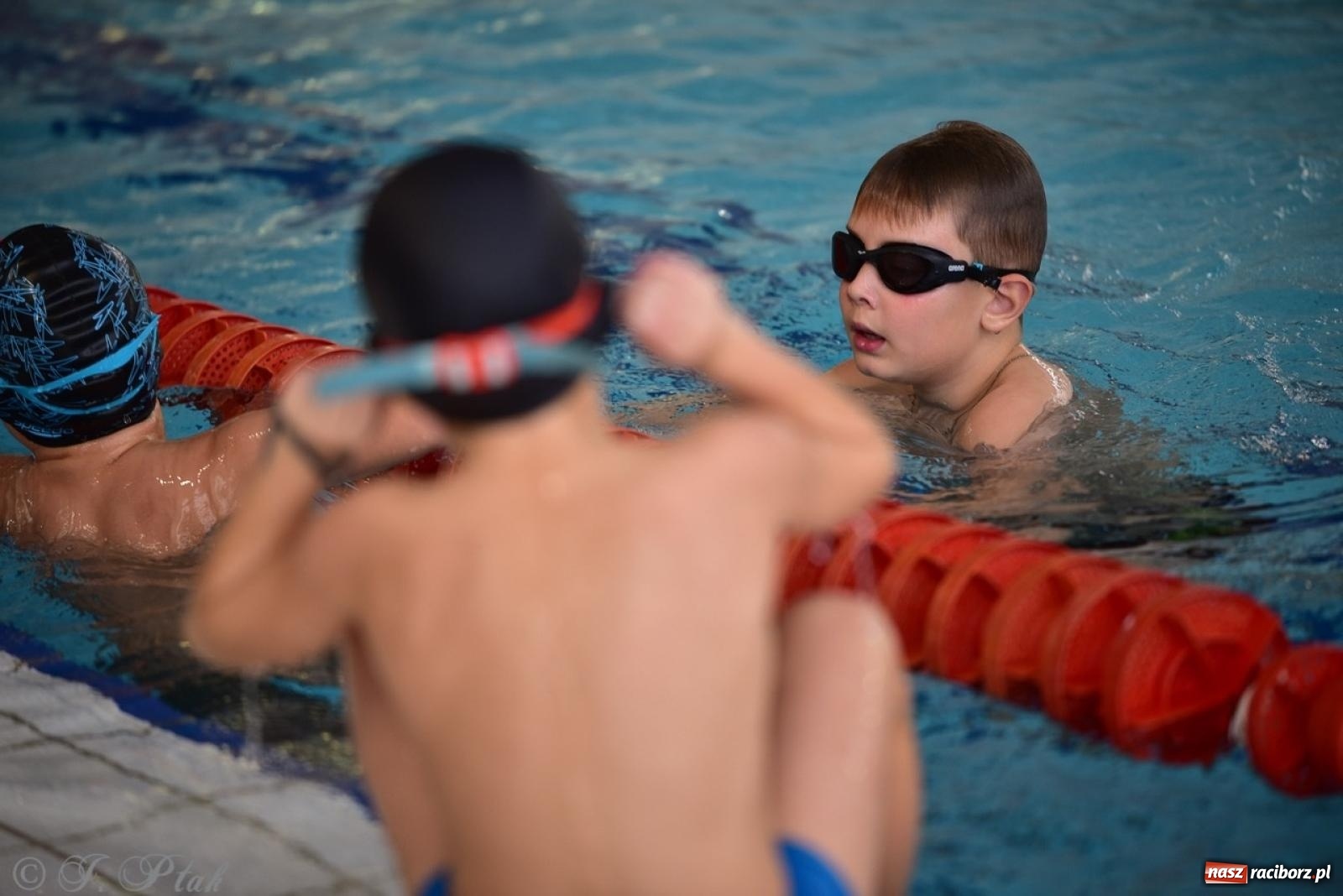 Zdjęcie w galerii na portalu naszraciborz.pl: IV Mistrzostwa Raciborza Szkół Podstawowych w pływaniu – sportowa rywalizacja na H2Ostróg zakończona wiadomości z regionu
