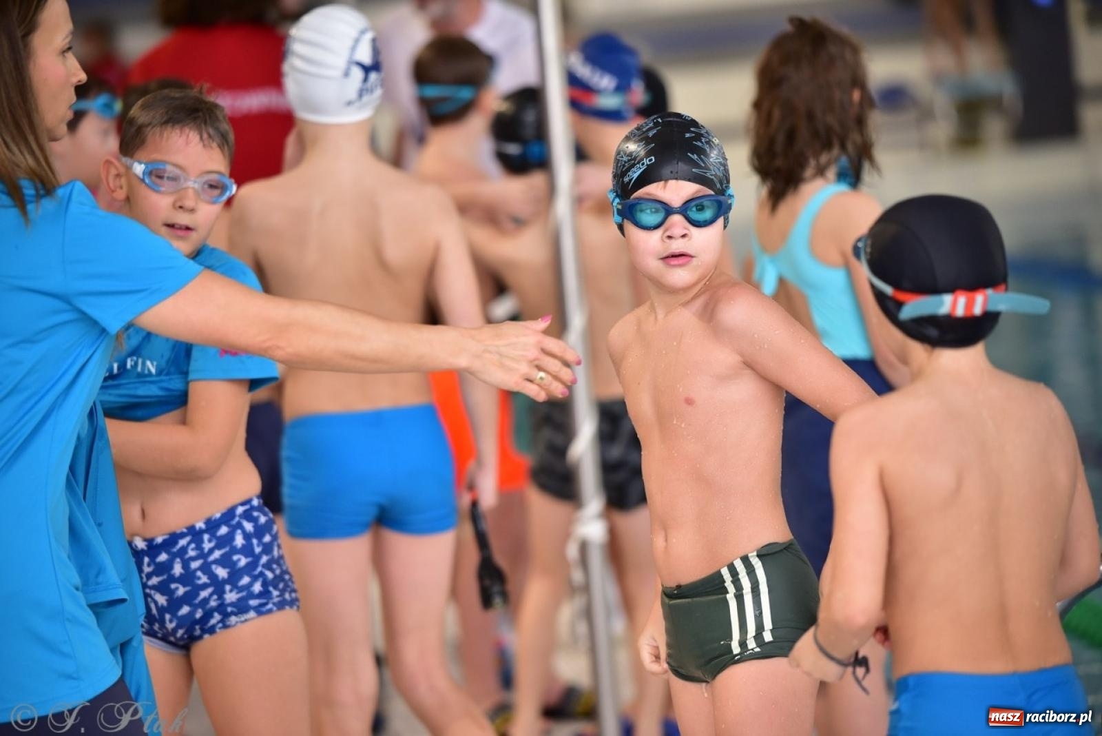 Zdjęcie w galerii na portalu naszraciborz.pl: IV Mistrzostwa Raciborza Szkół Podstawowych w pływaniu – sportowa rywalizacja na H2Ostróg zakończona wiadomości z regionu