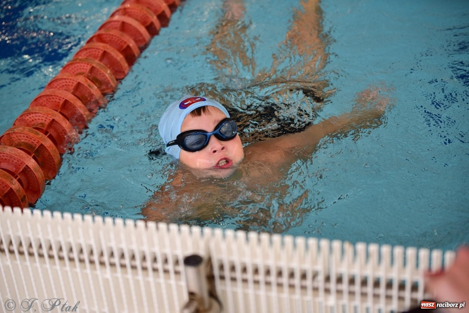 Zdjęcie w galerii na portalu naszraciborz.pl: IV Mistrzostwa Raciborza Szkół Podstawowych w pływaniu – sportowa rywalizacja na H2Ostróg zakończona wiadomości z regionu
