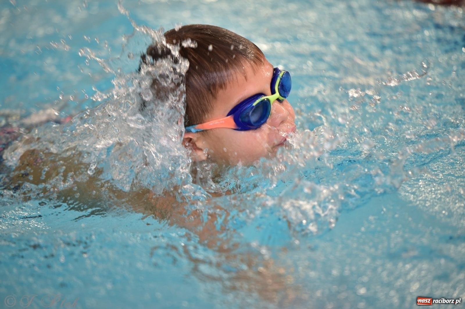 Zdjęcie w galerii na portalu naszraciborz.pl: IV Mistrzostwa Raciborza Szkół Podstawowych w pływaniu – sportowa rywalizacja na H2Ostróg zakończona wiadomości z regionu