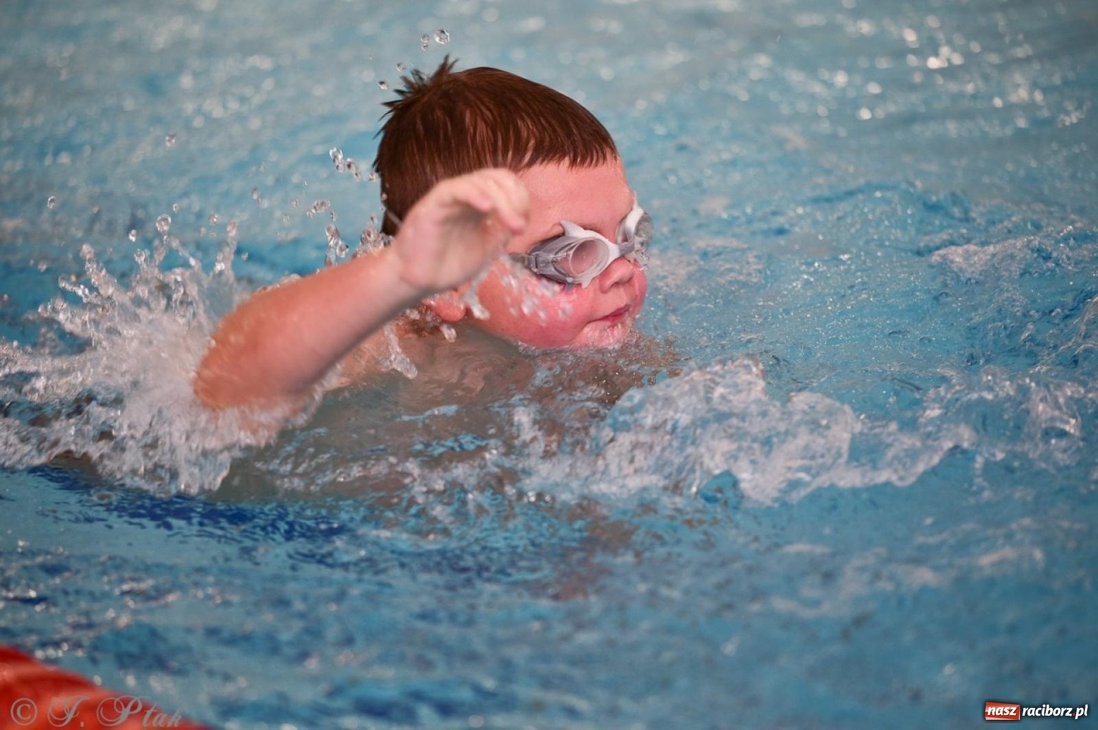 Zdjęcie w galerii na portalu naszraciborz.pl: IV Mistrzostwa Raciborza Szkół Podstawowych w pływaniu – sportowa rywalizacja na H2Ostróg zakończona wiadomości z regionu