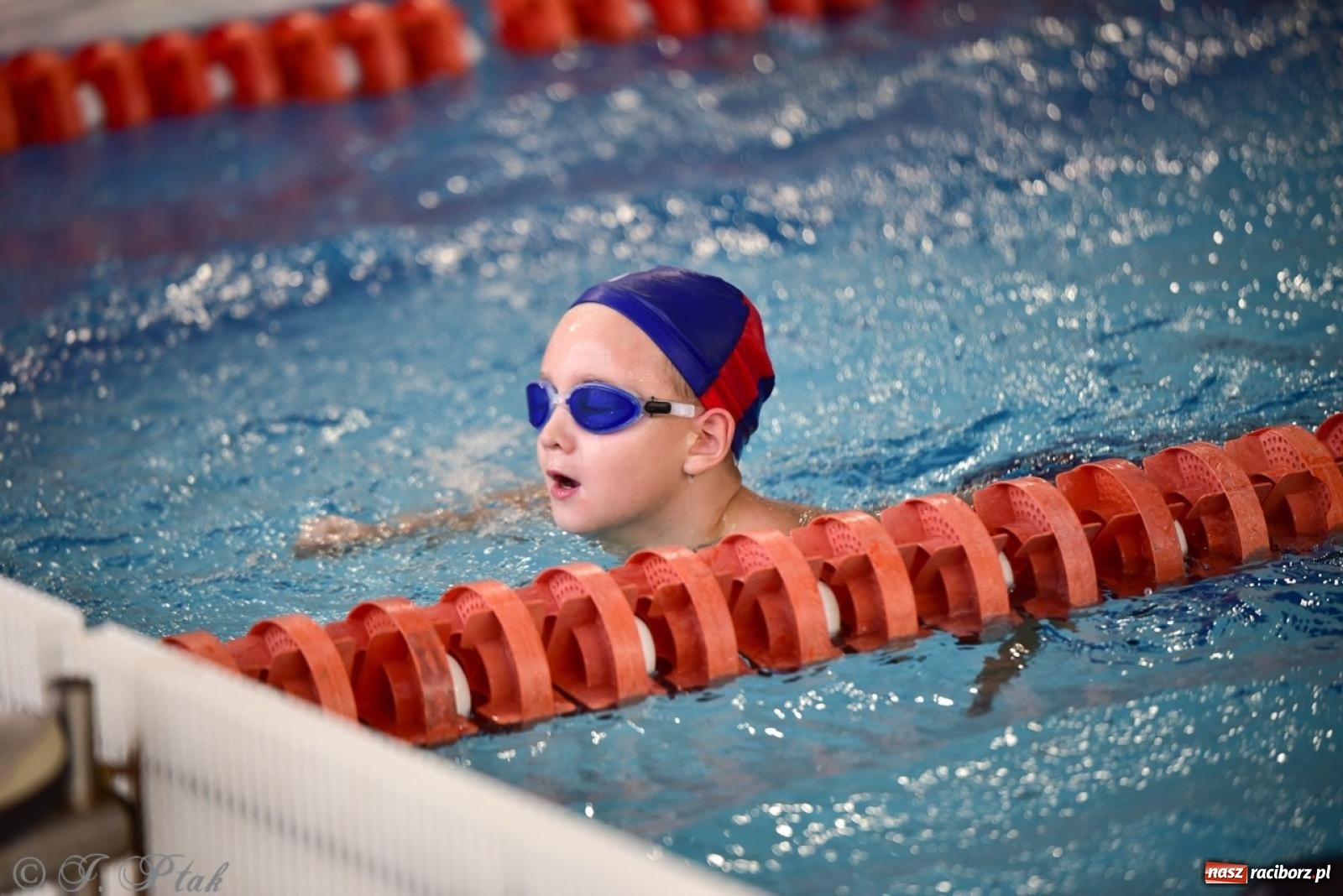 Zdjęcie w galerii na portalu naszraciborz.pl: IV Mistrzostwa Raciborza Szkół Podstawowych w pływaniu – sportowa rywalizacja na H2Ostróg zakończona wiadomości z regionu
