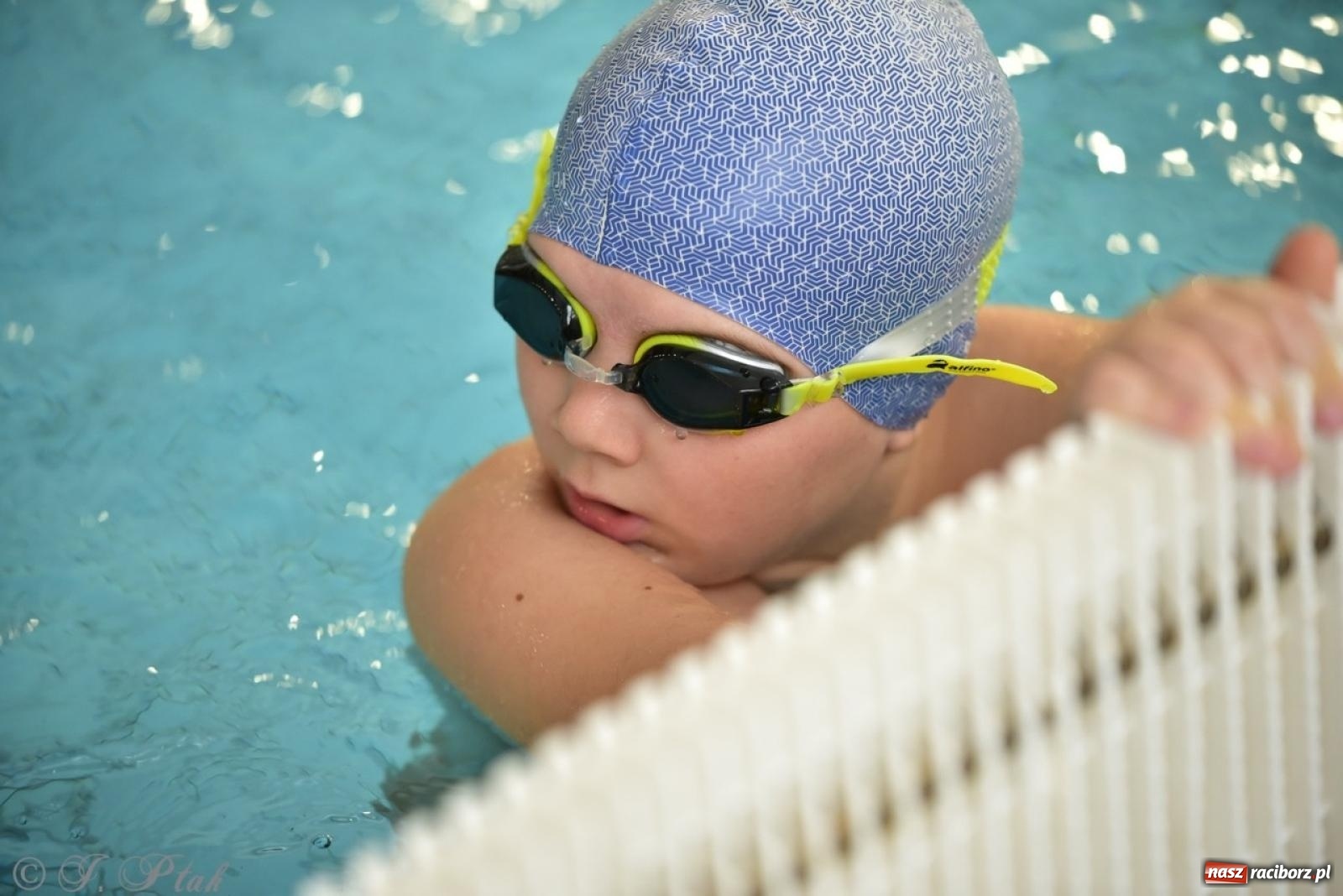 Zdjęcie w galerii na portalu naszraciborz.pl: IV Mistrzostwa Raciborza Szkół Podstawowych w pływaniu – sportowa rywalizacja na H2Ostróg zakończona wiadomości z regionu