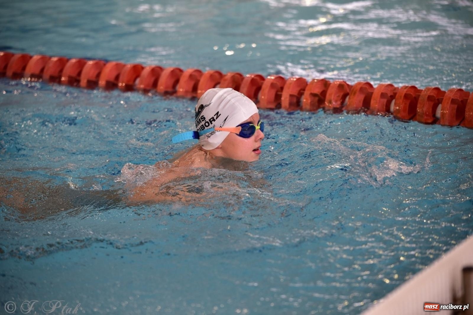 Zdjęcie w galerii na portalu naszraciborz.pl: IV Mistrzostwa Raciborza Szkół Podstawowych w pływaniu – sportowa rywalizacja na H2Ostróg zakończona wiadomości z regionu