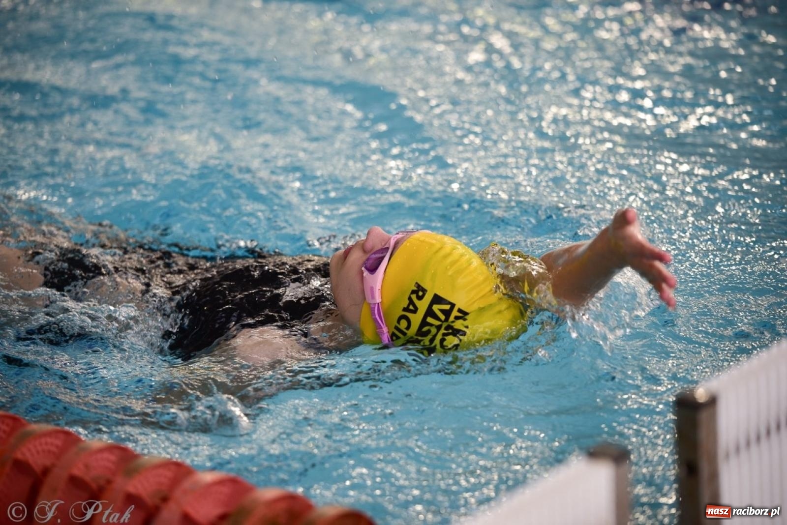 Zdjęcie w galerii na portalu naszraciborz.pl: IV Mistrzostwa Raciborza Szkół Podstawowych w pływaniu – sportowa rywalizacja na H2Ostróg zakończona wiadomości z regionu