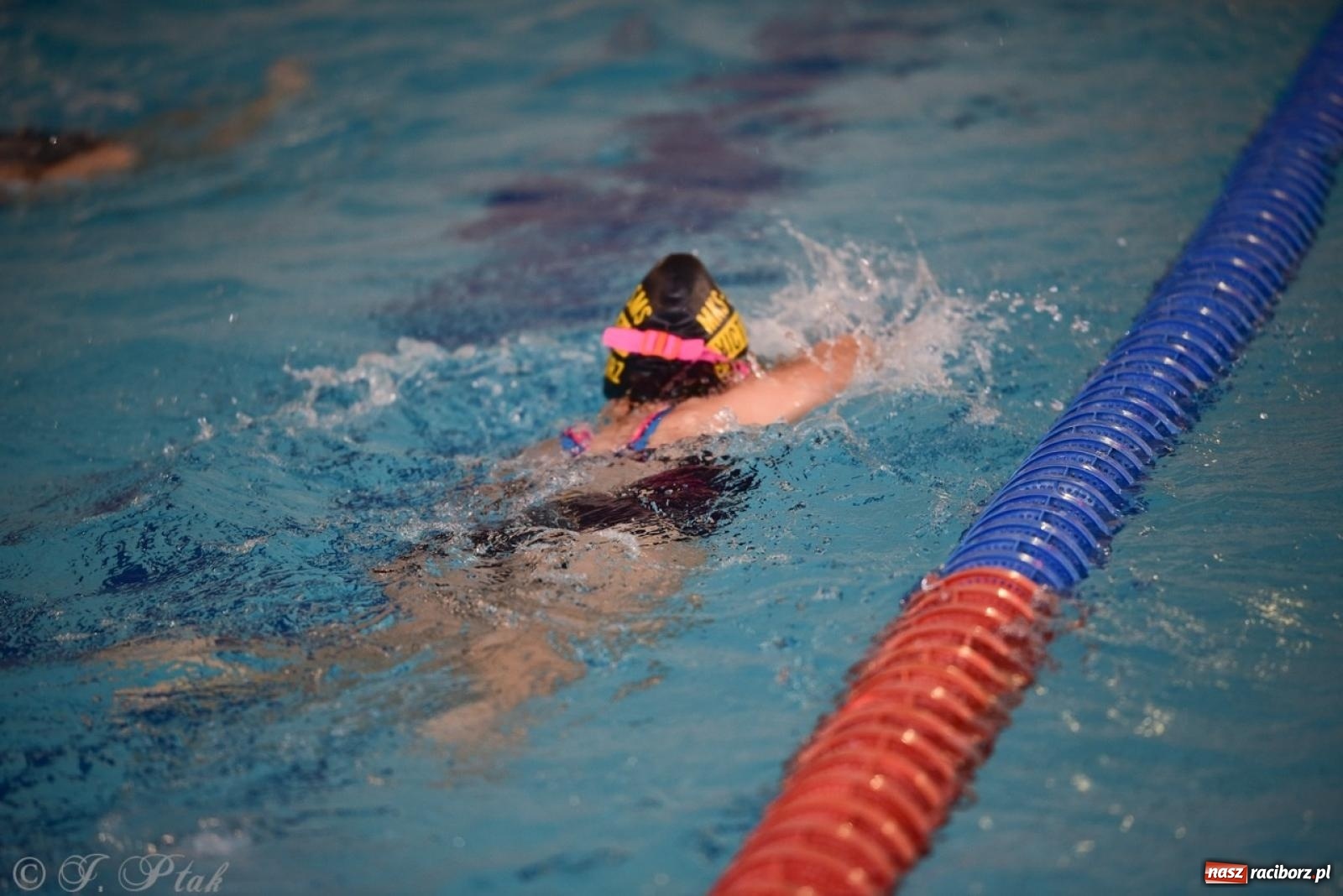 Zdjęcie w galerii na portalu naszraciborz.pl: IV Mistrzostwa Raciborza Szkół Podstawowych w pływaniu – sportowa rywalizacja na H2Ostróg zakończona wiadomości z regionu