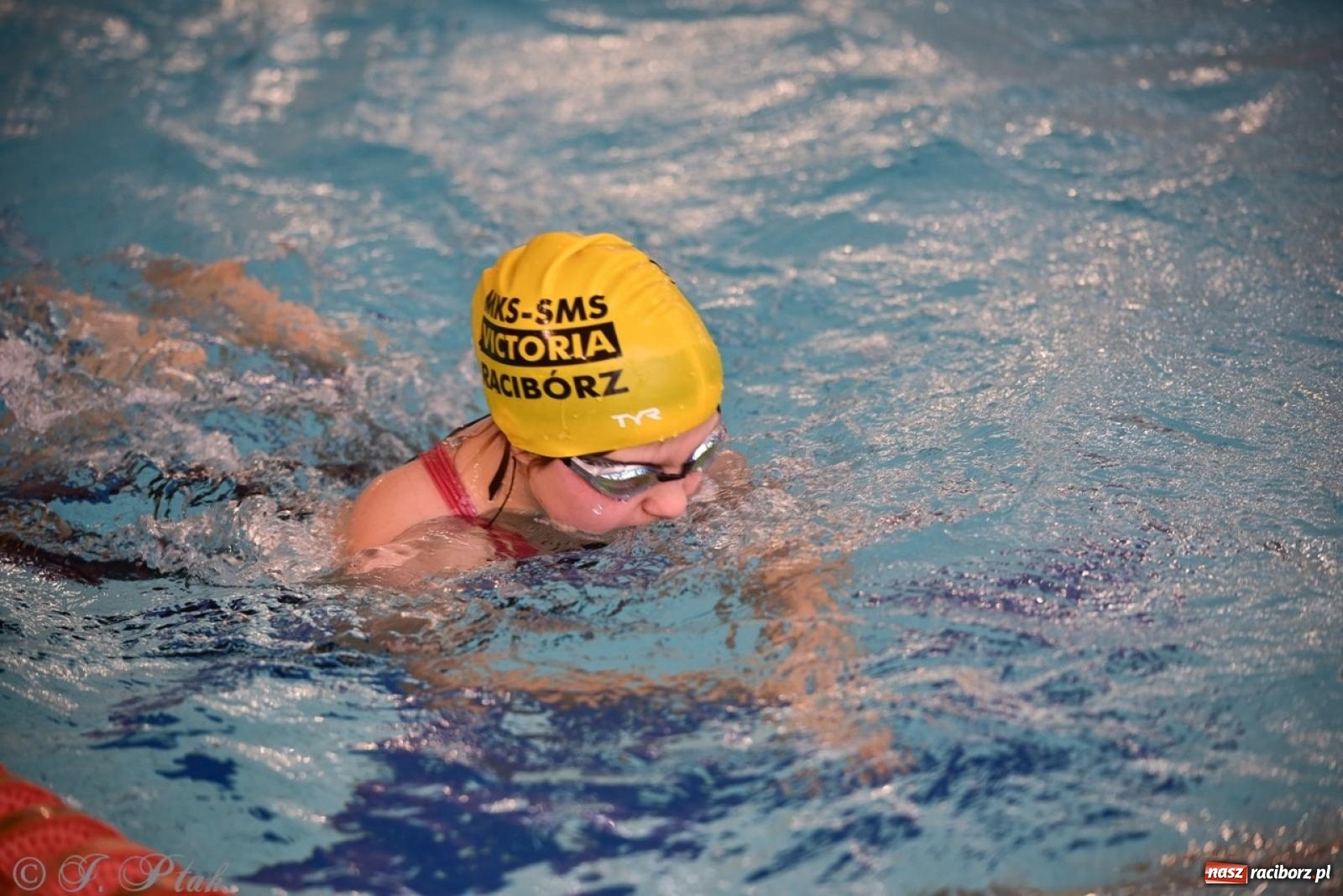 Zdjęcie w galerii na portalu naszraciborz.pl: IV Mistrzostwa Raciborza Szkół Podstawowych w pływaniu – sportowa rywalizacja na H2Ostróg zakończona wiadomości z regionu