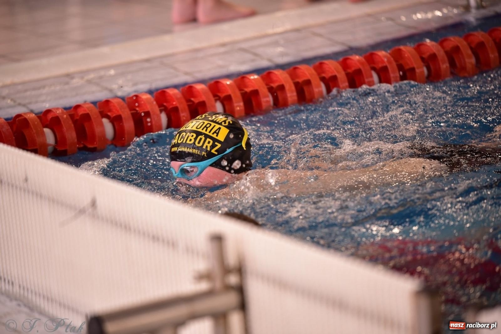 Zdjęcie w galerii na portalu naszraciborz.pl: IV Mistrzostwa Raciborza Szkół Podstawowych w pływaniu – sportowa rywalizacja na H2Ostróg zakończona wiadomości z regionu