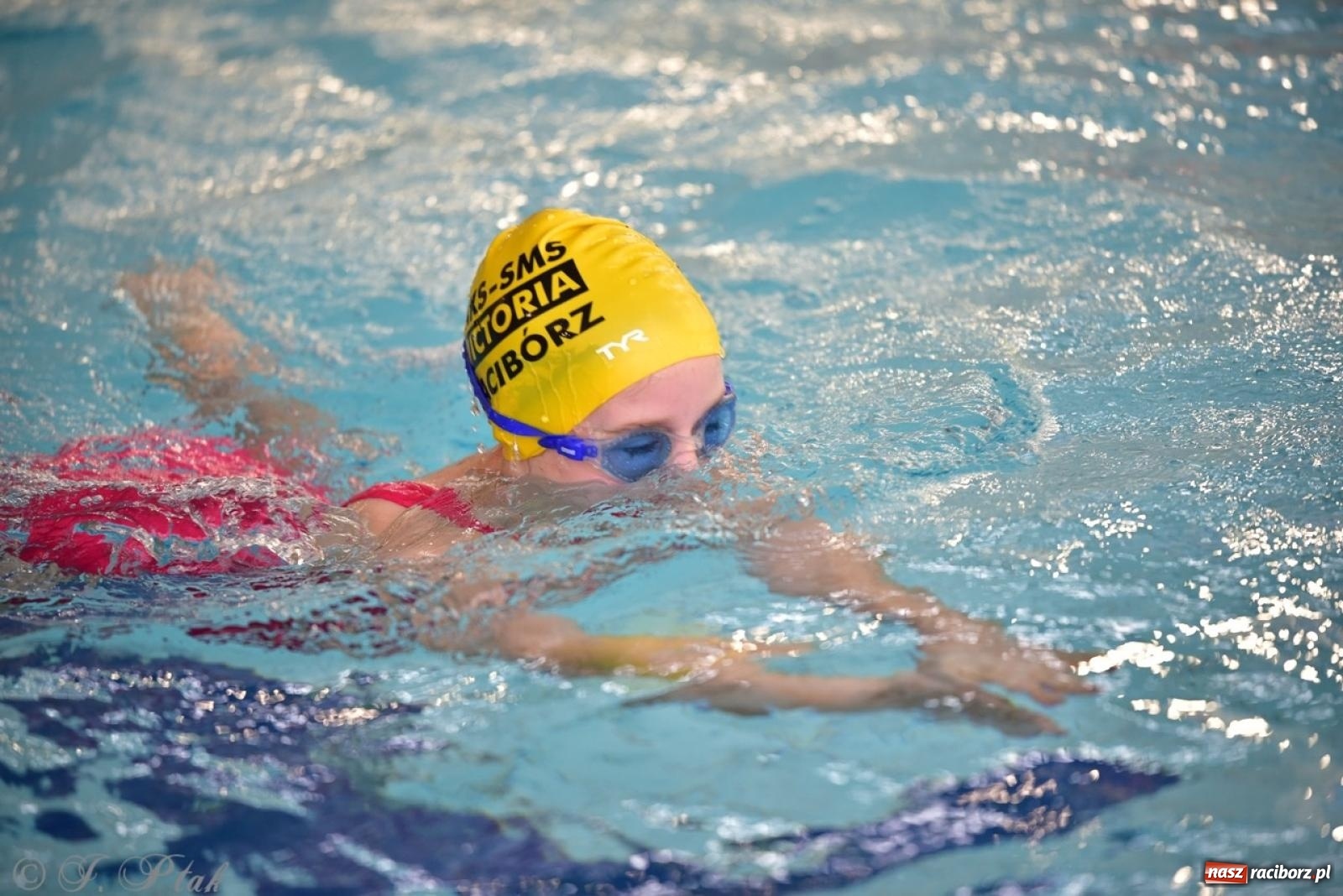 Zdjęcie w galerii na portalu naszraciborz.pl: IV Mistrzostwa Raciborza Szkół Podstawowych w pływaniu – sportowa rywalizacja na H2Ostróg zakończona wiadomości z regionu