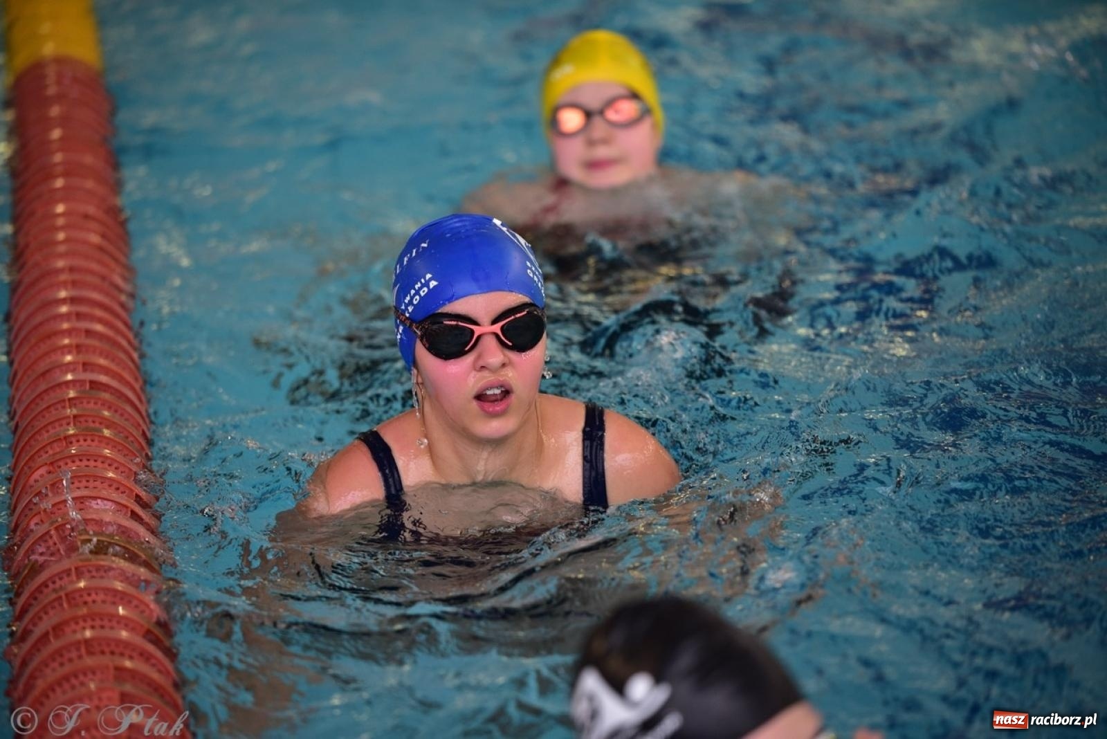 Zdjęcie w galerii na portalu naszraciborz.pl: IV Mistrzostwa Raciborza Szkół Podstawowych w pływaniu – sportowa rywalizacja na H2Ostróg zakończona wiadomości z regionu