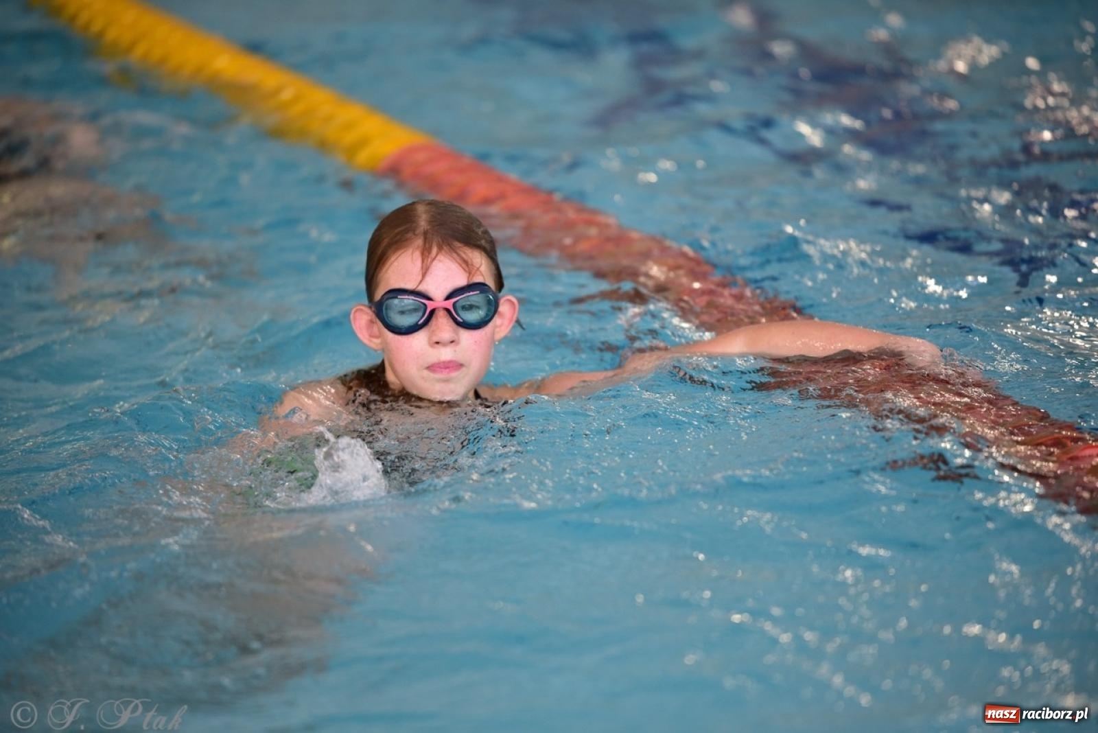 Zdjęcie w galerii na portalu naszraciborz.pl: IV Mistrzostwa Raciborza Szkół Podstawowych w pływaniu – sportowa rywalizacja na H2Ostróg zakończona wiadomości z regionu