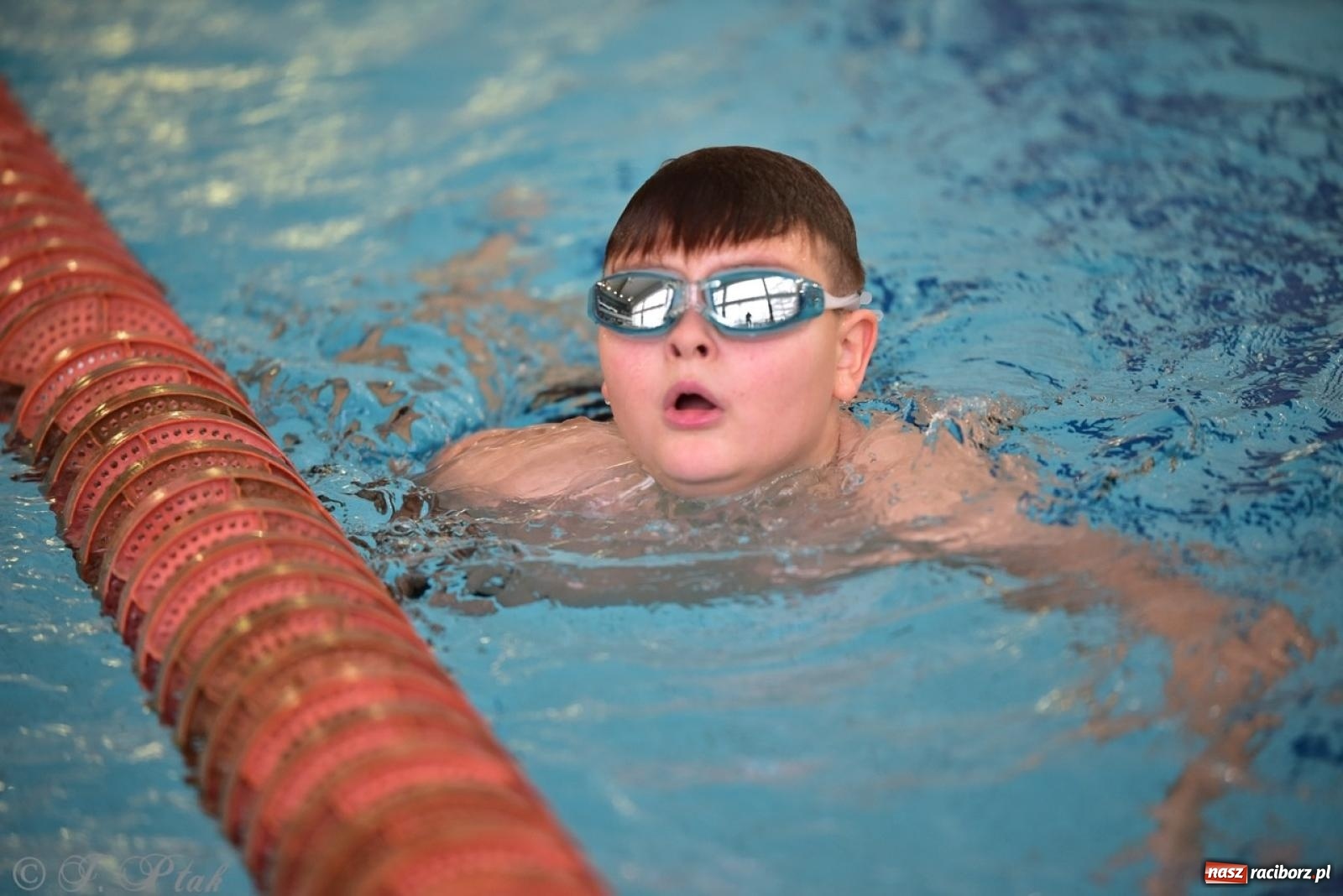 Zdjęcie w galerii na portalu naszraciborz.pl: IV Mistrzostwa Raciborza Szkół Podstawowych w pływaniu – sportowa rywalizacja na H2Ostróg zakończona wiadomości z regionu
