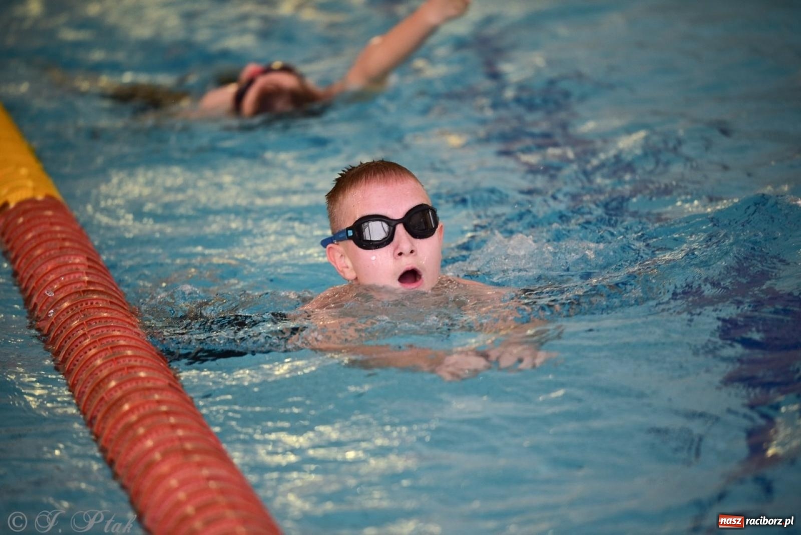 Zdjęcie w galerii na portalu naszraciborz.pl: IV Mistrzostwa Raciborza Szkół Podstawowych w pływaniu – sportowa rywalizacja na H2Ostróg zakończona wiadomości z regionu