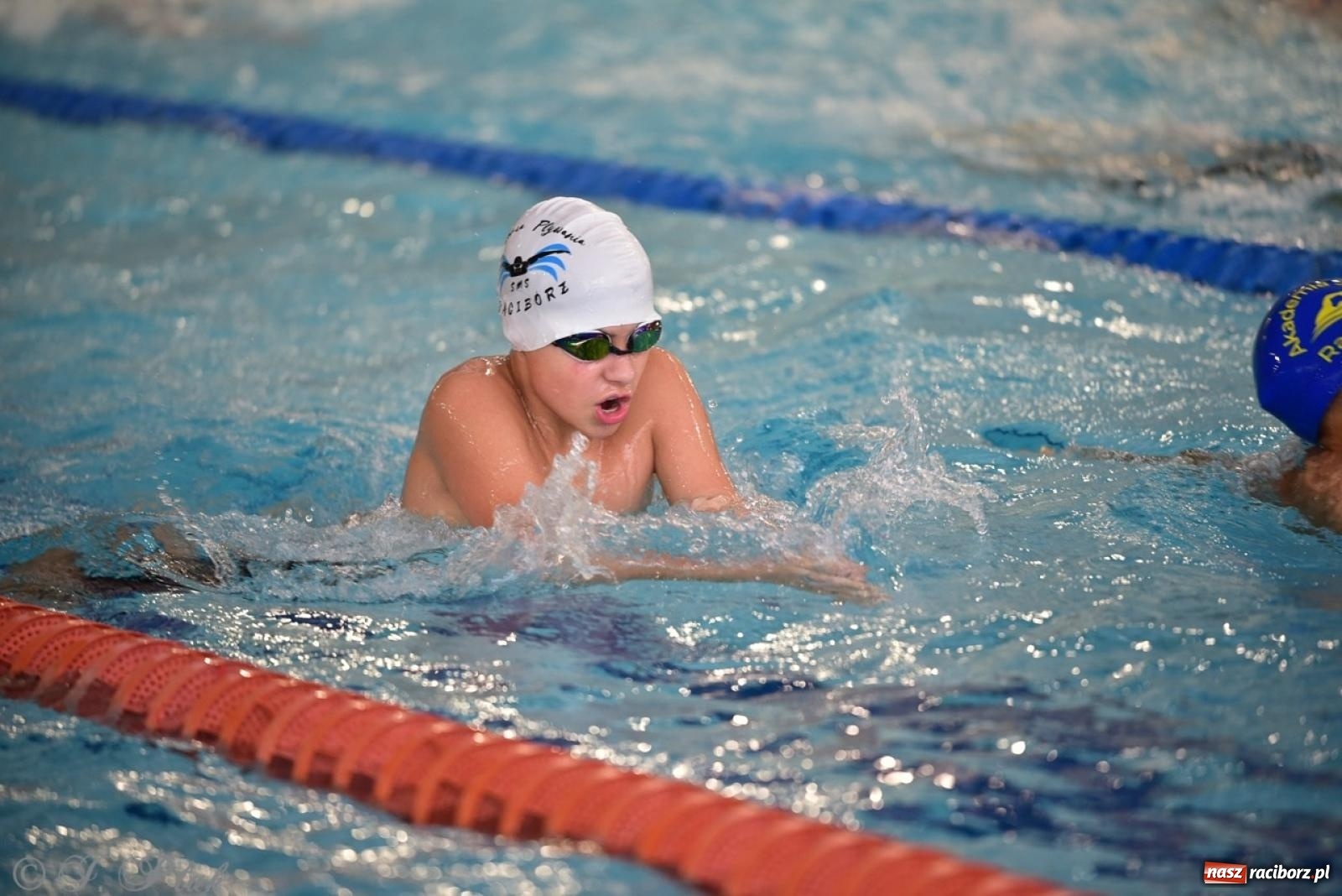 Zdjęcie w galerii na portalu naszraciborz.pl: IV Mistrzostwa Raciborza Szkół Podstawowych w pływaniu – sportowa rywalizacja na H2Ostróg zakończona wiadomości z regionu