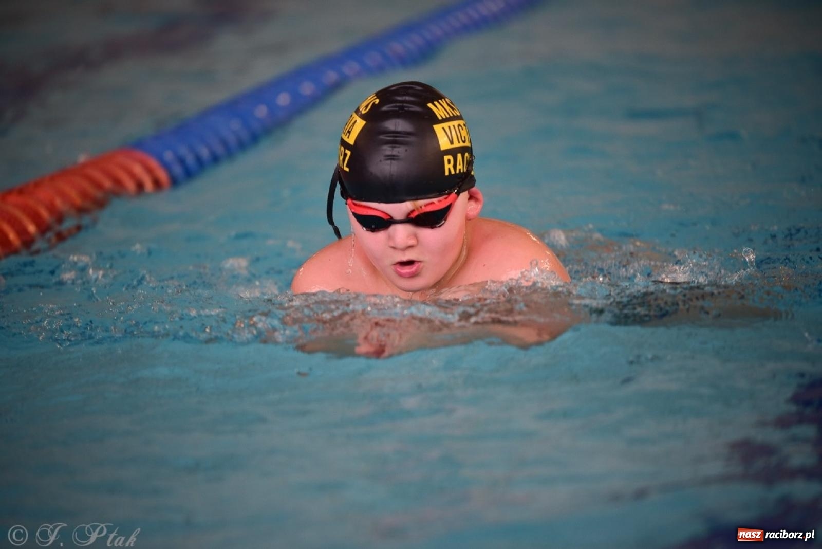 Zdjęcie w galerii na portalu naszraciborz.pl: IV Mistrzostwa Raciborza Szkół Podstawowych w pływaniu – sportowa rywalizacja na H2Ostróg zakończona wiadomości z regionu