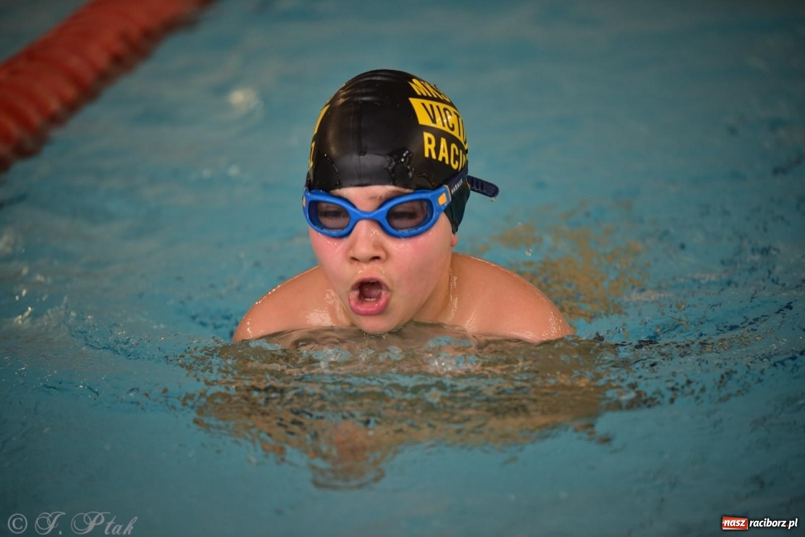 Zdjęcie w galerii na portalu naszraciborz.pl: IV Mistrzostwa Raciborza Szkół Podstawowych w pływaniu – sportowa rywalizacja na H2Ostróg zakończona wiadomości z regionu