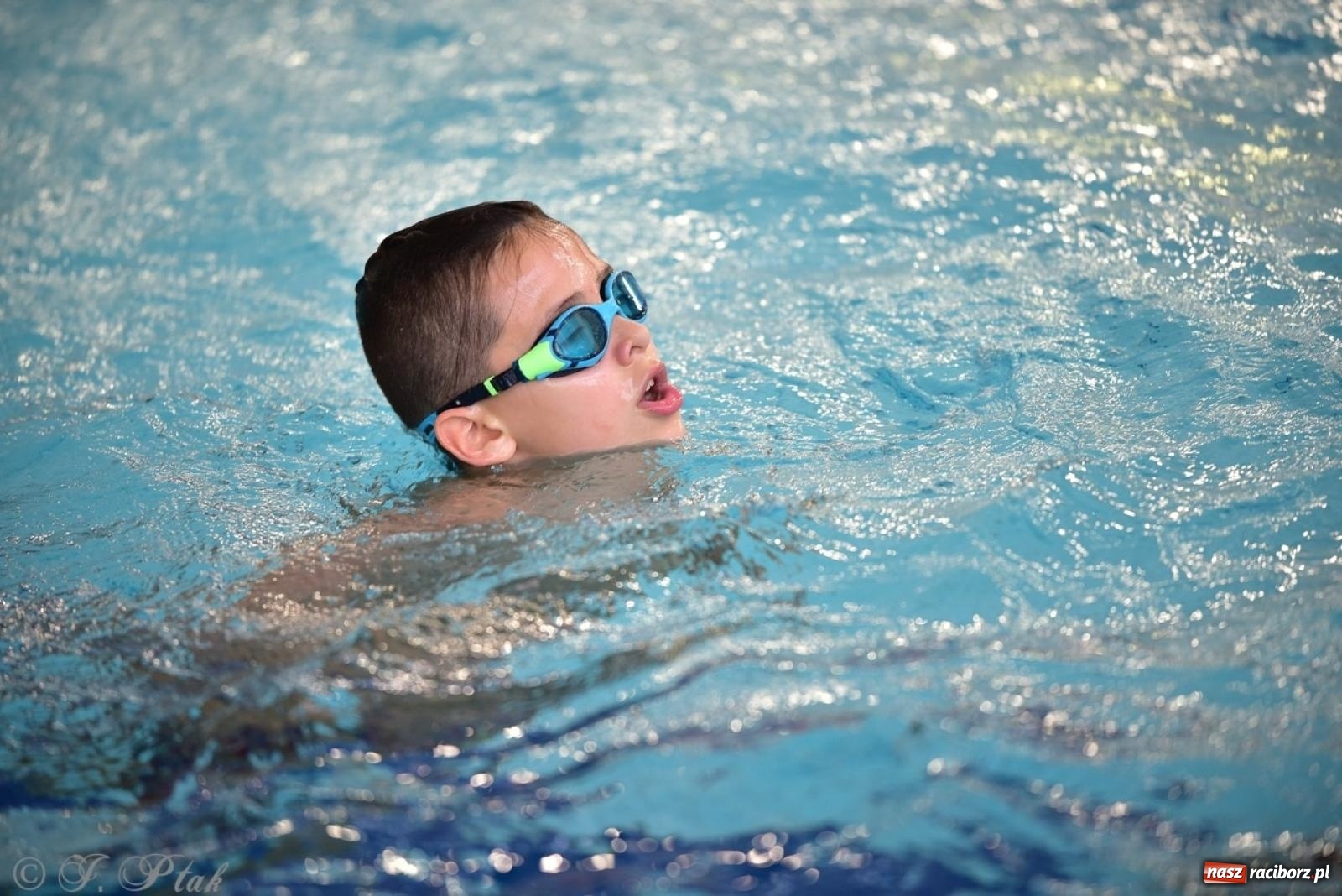 Zdjęcie w galerii na portalu naszraciborz.pl: IV Mistrzostwa Raciborza Szkół Podstawowych w pływaniu – sportowa rywalizacja na H2Ostróg zakończona wiadomości z regionu