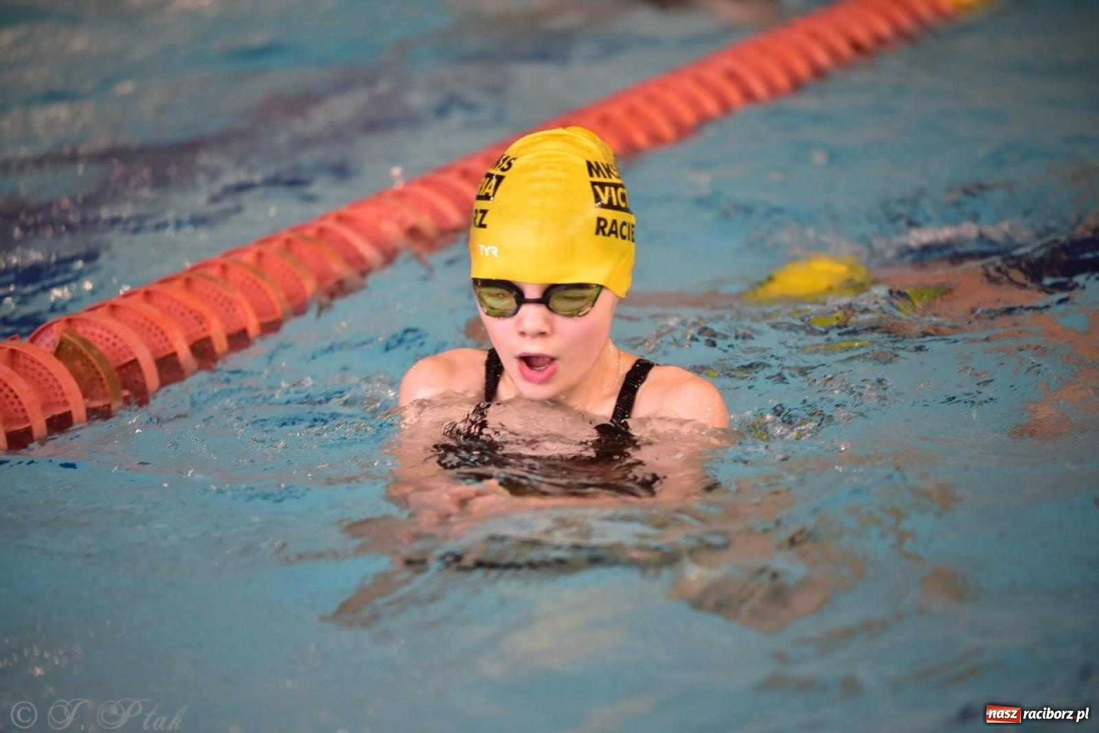 Zdjęcie w galerii na portalu naszraciborz.pl: IV Mistrzostwa Raciborza Szkół Podstawowych w pływaniu – sportowa rywalizacja na H2Ostróg zakończona wiadomości z regionu