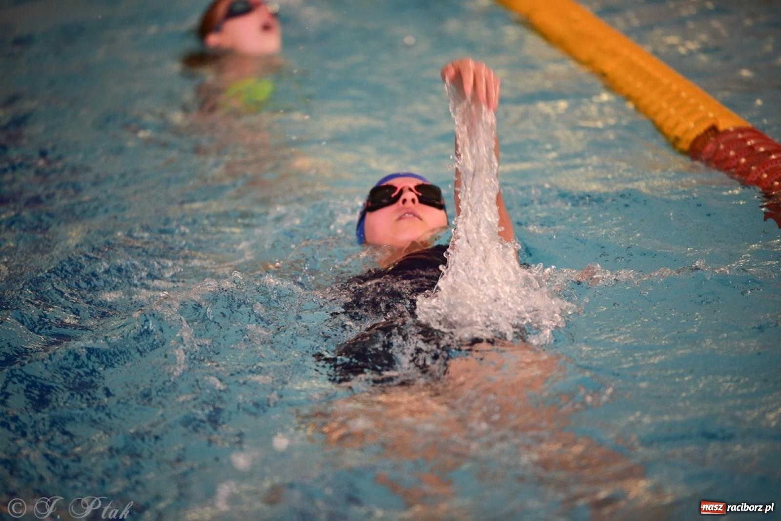 Zdjęcie w galerii na portalu naszraciborz.pl: IV Mistrzostwa Raciborza Szkół Podstawowych w pływaniu – sportowa rywalizacja na H2Ostróg zakończona wiadomości z regionu