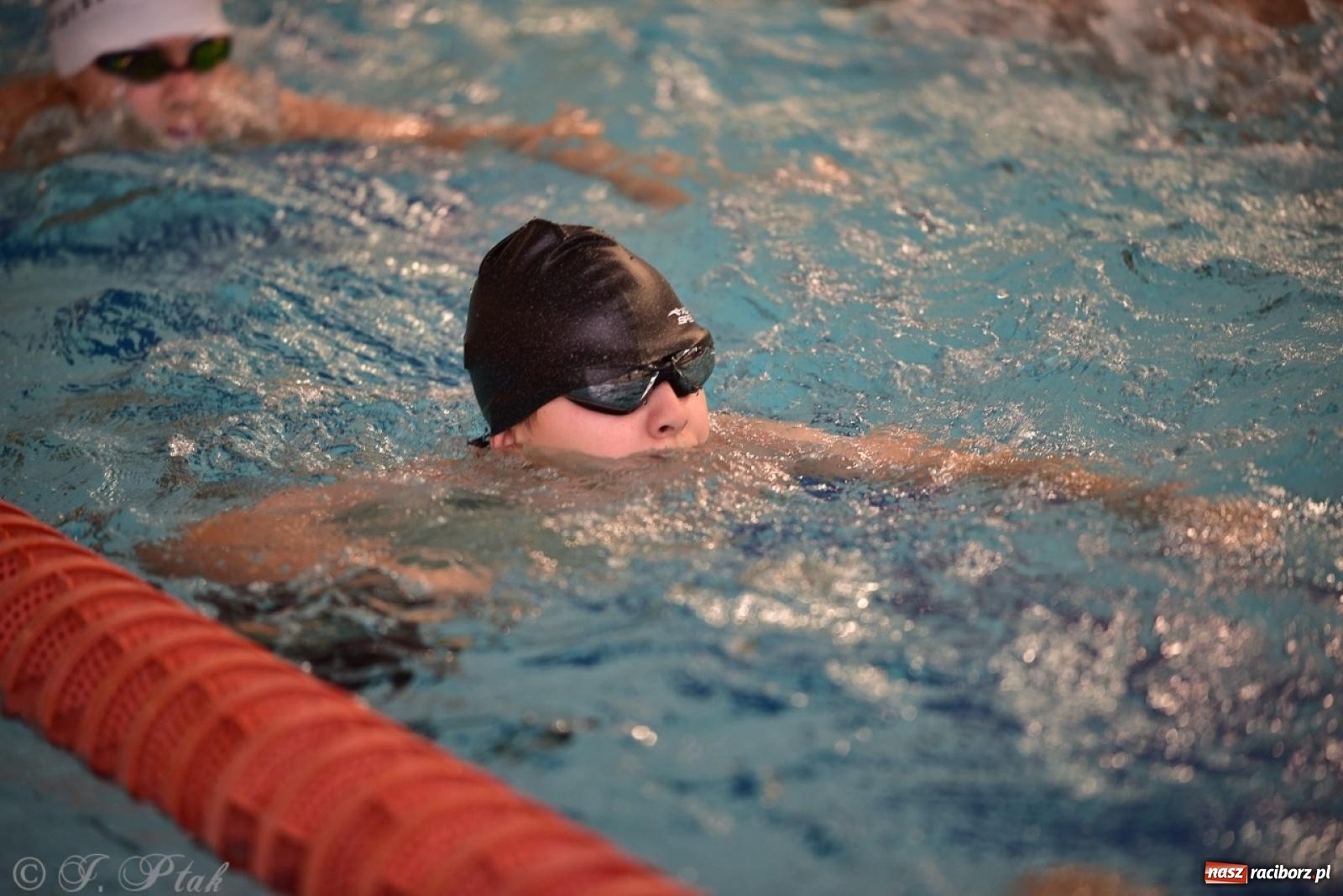 Zdjęcie w galerii na portalu naszraciborz.pl: IV Mistrzostwa Raciborza Szkół Podstawowych w pływaniu – sportowa rywalizacja na H2Ostróg zakończona wiadomości z regionu