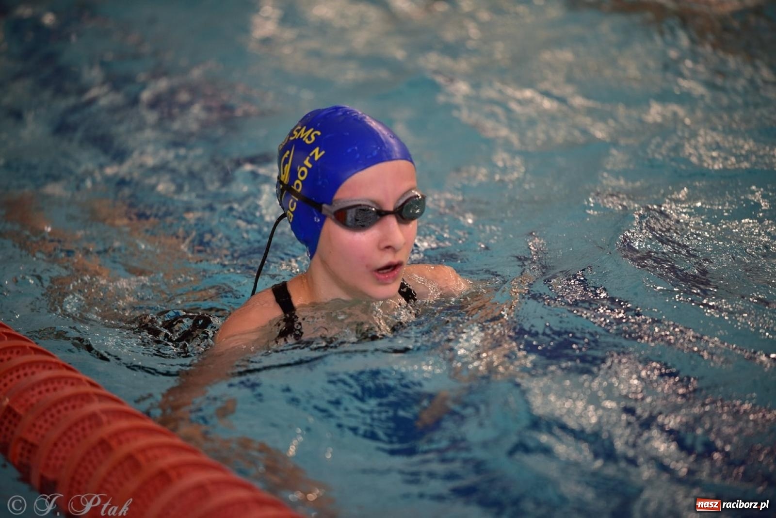 Zdjęcie w galerii na portalu naszraciborz.pl: IV Mistrzostwa Raciborza Szkół Podstawowych w pływaniu – sportowa rywalizacja na H2Ostróg zakończona wiadomości z regionu